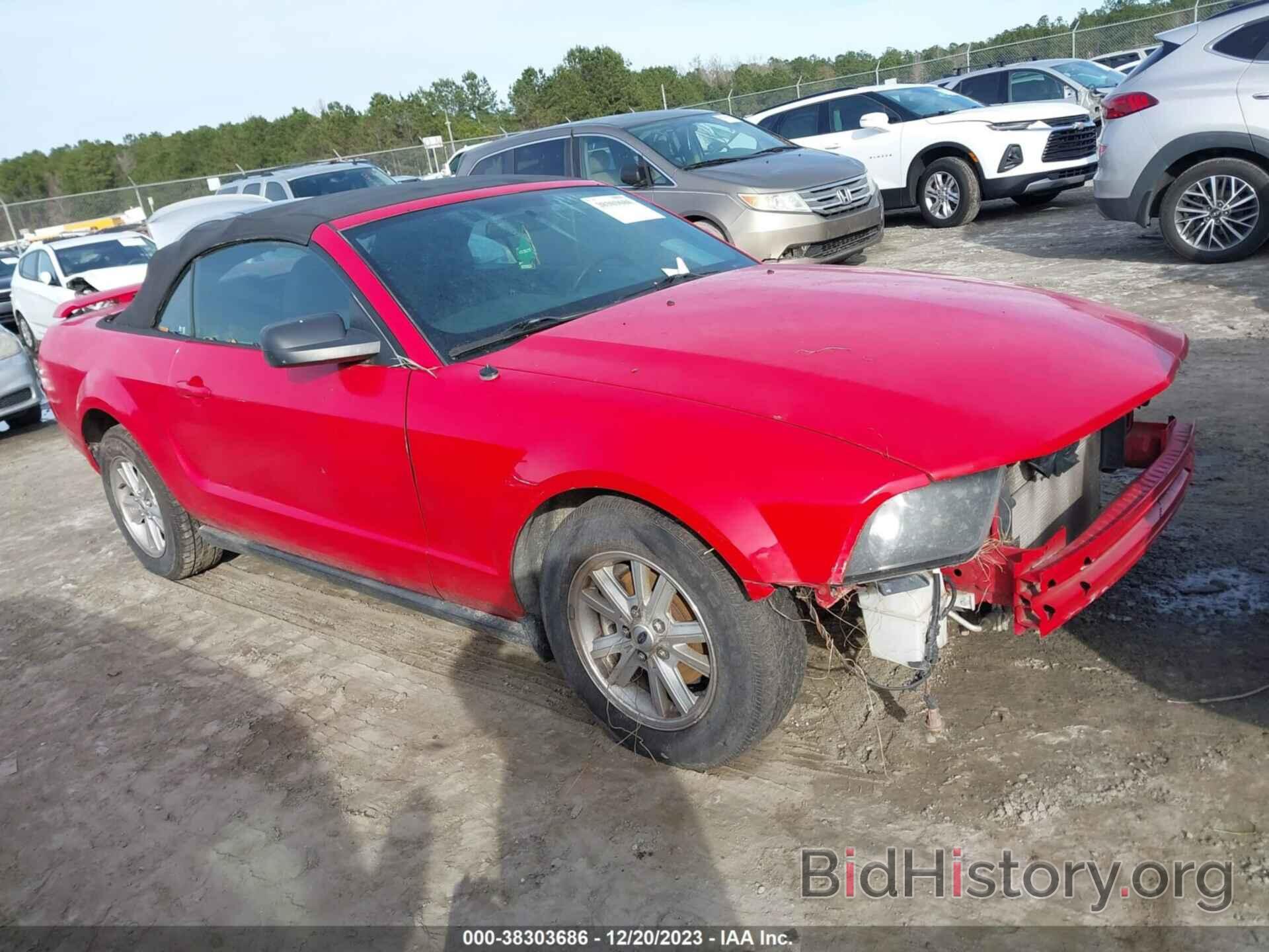 Photo 1ZVFT84N265199163 - FORD MUSTANG 2006
