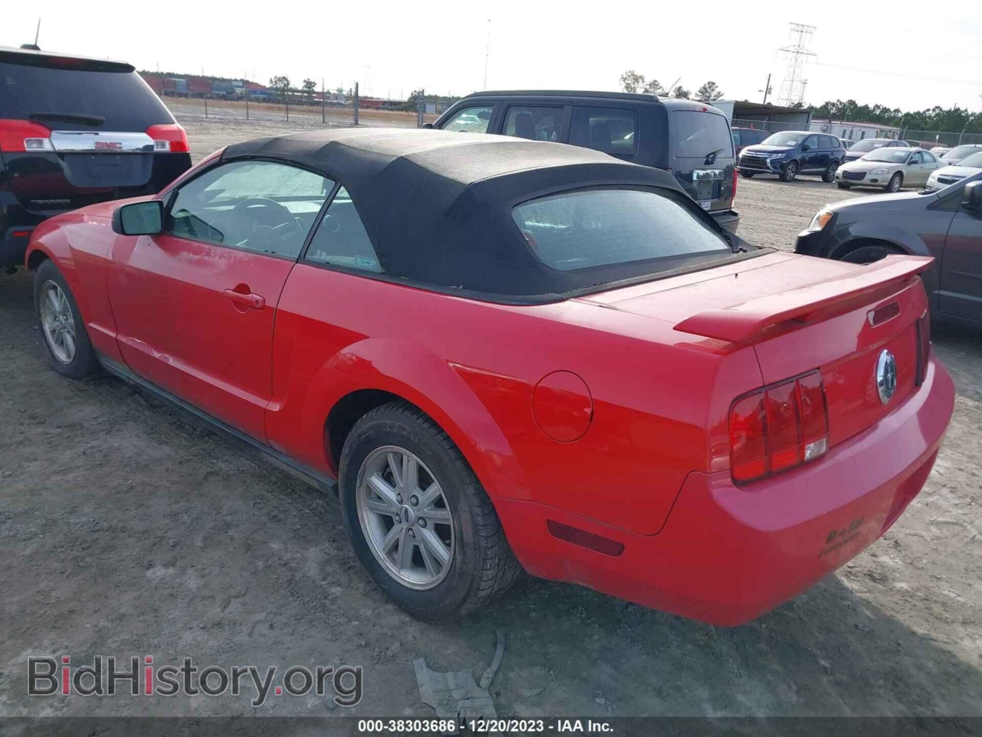 2006 FORD MUSTANG - VIN: 1ZVFT84N265199163 - Фото 3