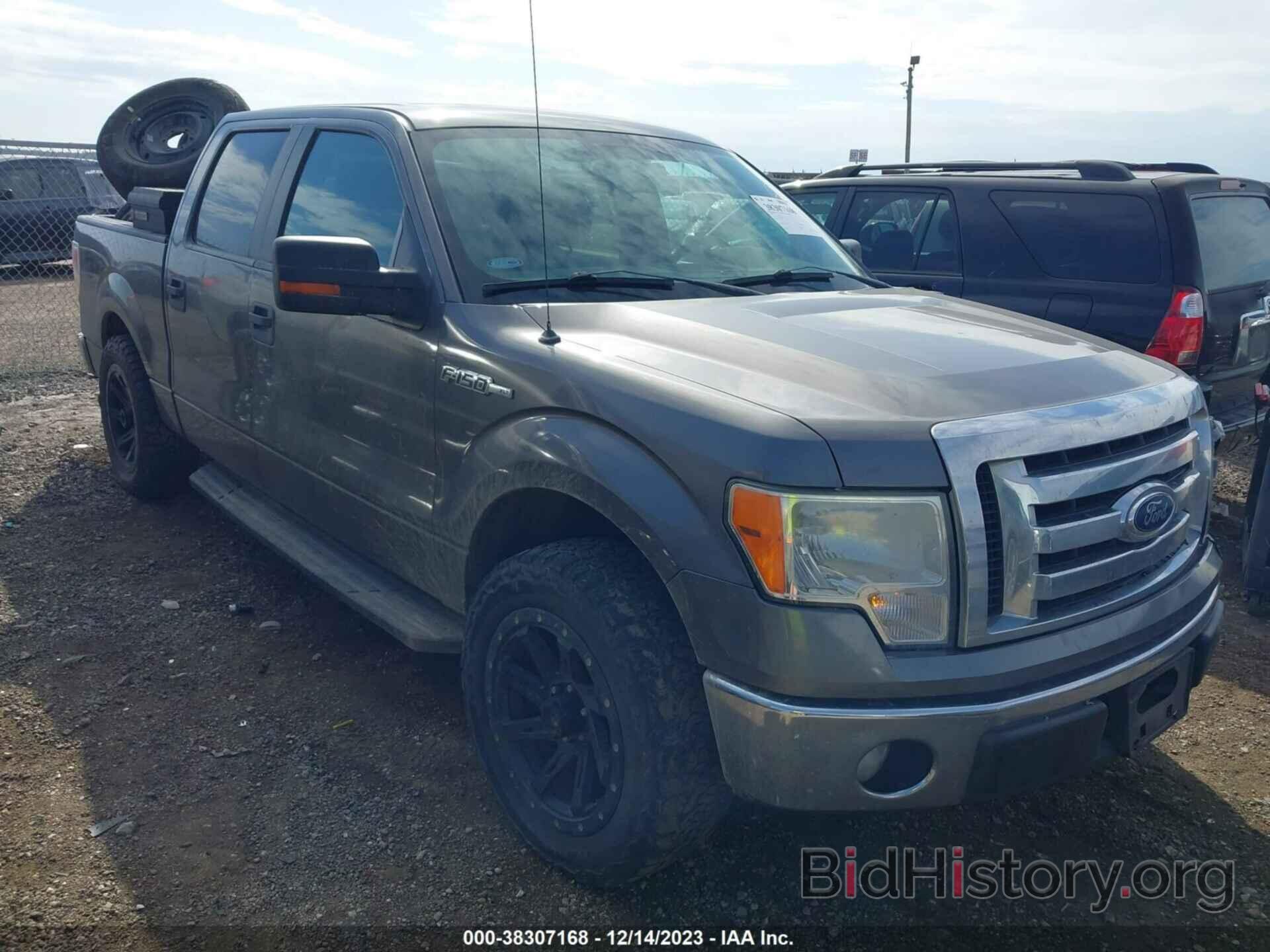 Photo 1FTEW1CM5CKD06984 - FORD F-150 2012