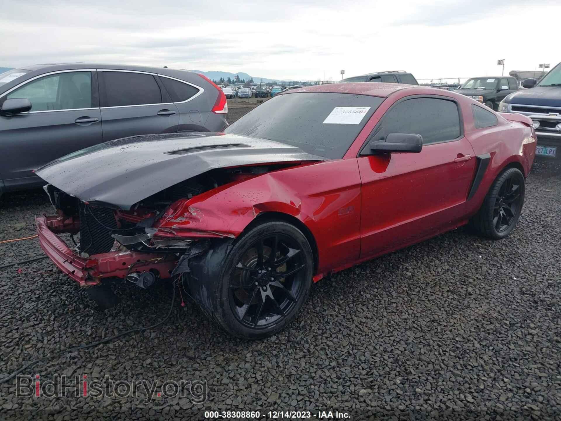 2014 FORD MUSTANG - VIN: 1ZVBP8CF4E5215262 - Фото 2