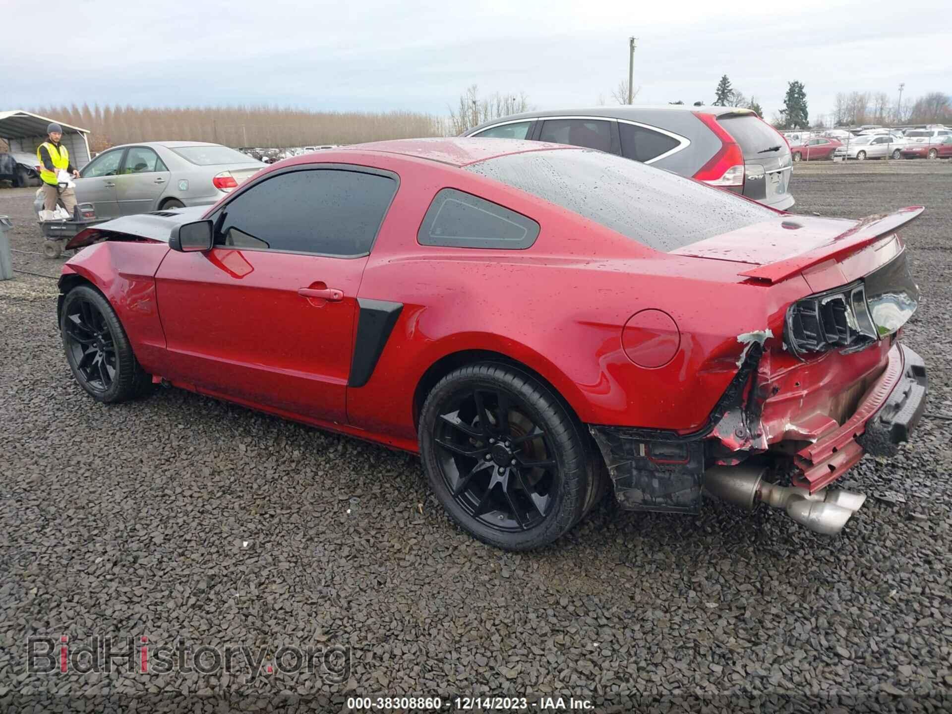 2014 FORD MUSTANG - VIN: 1ZVBP8CF4E5215262 - Фото 3