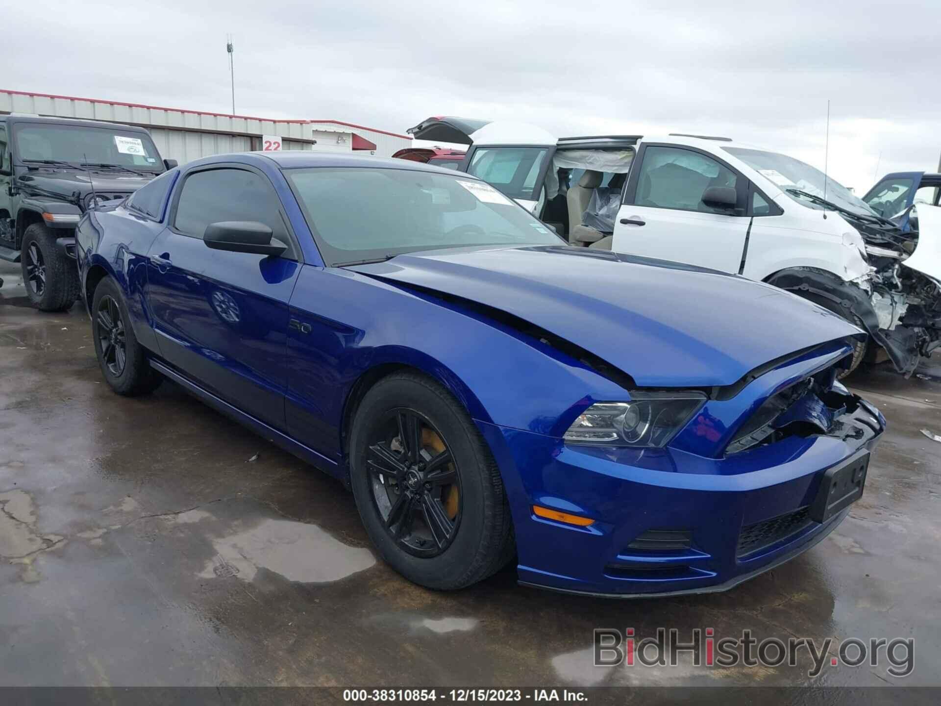Photo 1ZVBP8AM0D5278763 - FORD MUSTANG 2013