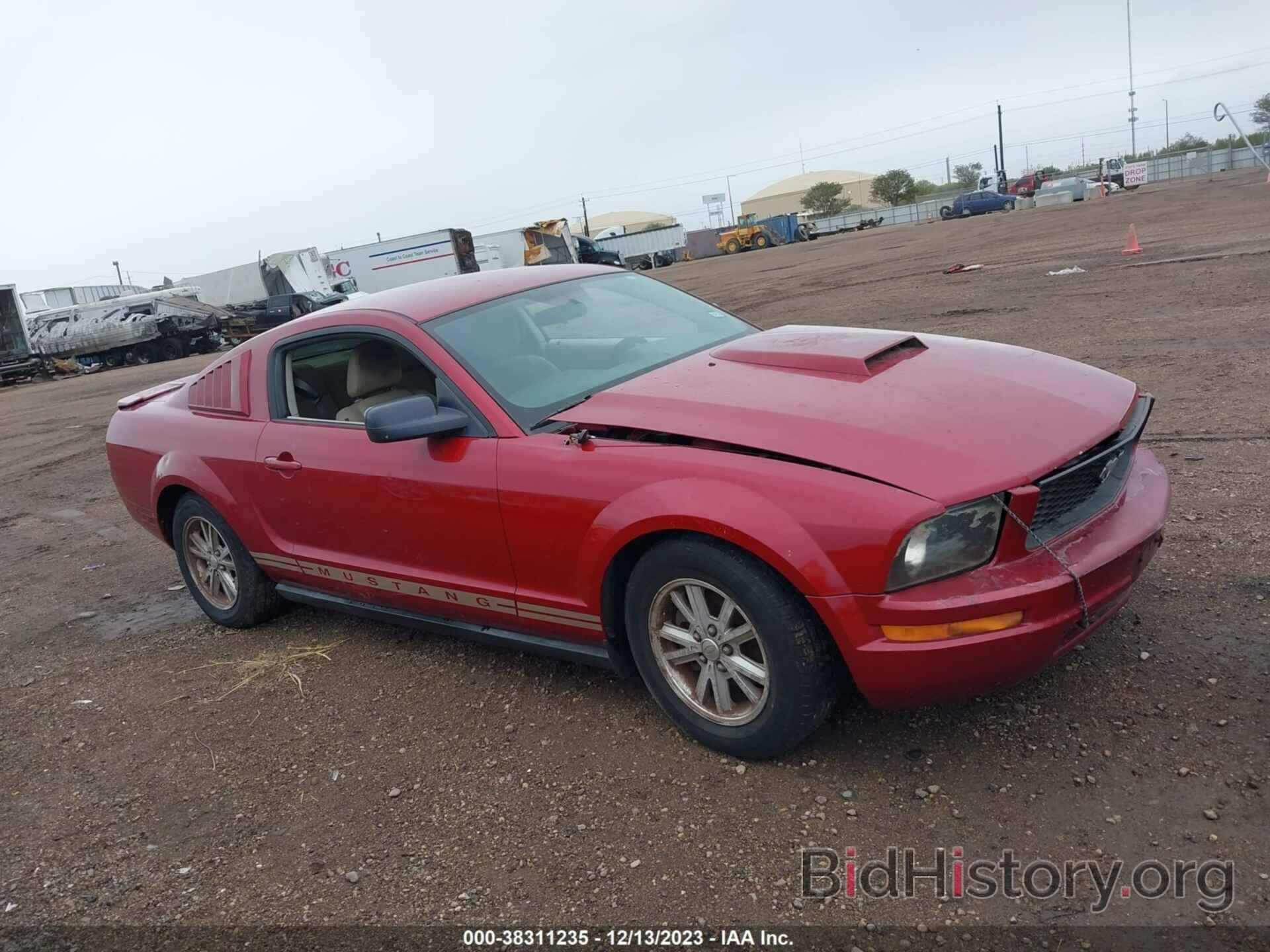 Photo 1ZVHT80N985199100 - FORD MUSTANG 2008