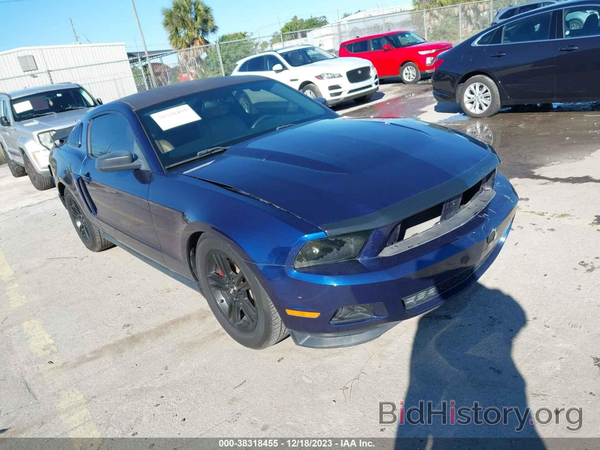 Photo 1ZVBP8AM0C5250556 - FORD MUSTANG 2012