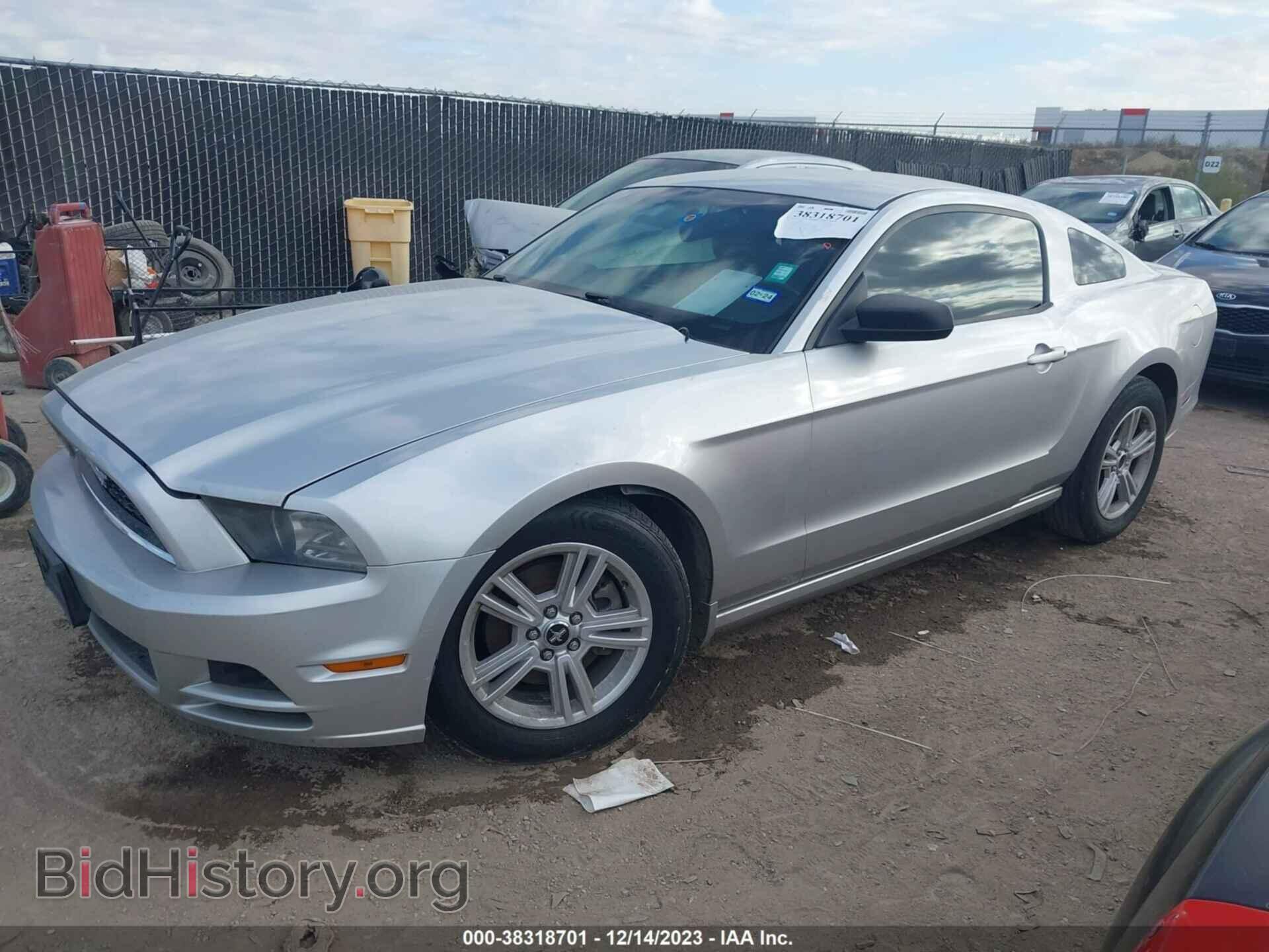 2014 FORD MUSTANG - VIN: 1ZVBP8AM0E5314159 - Фото 2