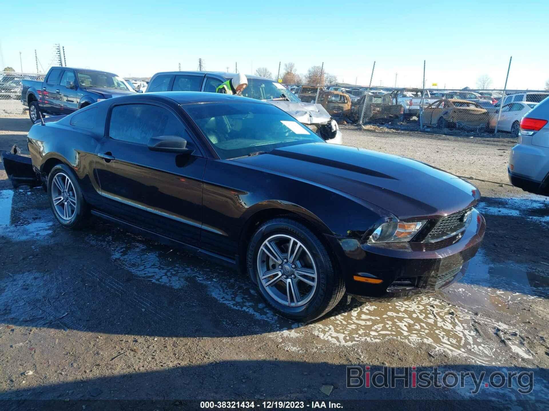 Photo 1ZVBP8AM3C5233167 - FORD MUSTANG 2012