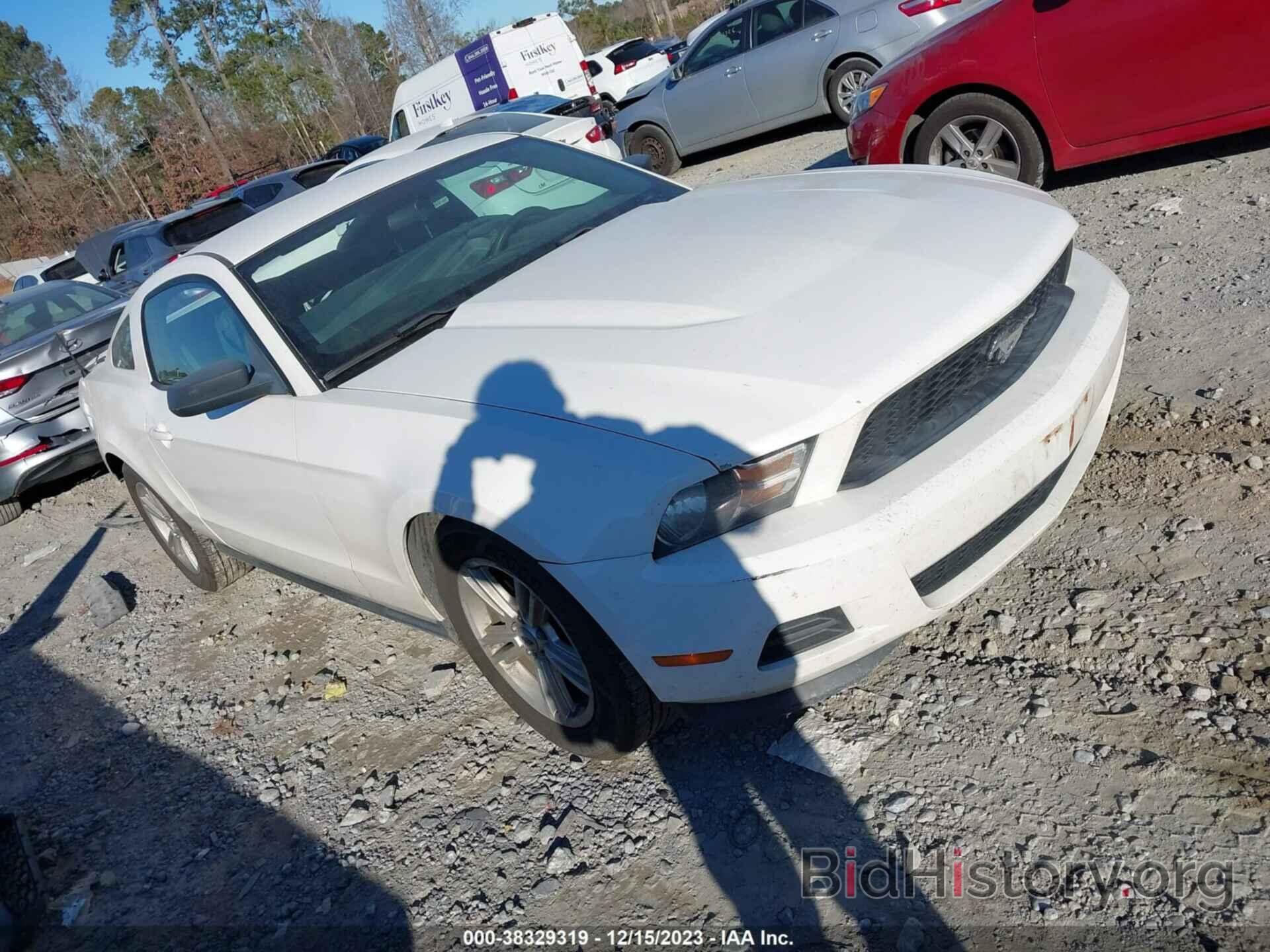 Photo 1ZVBP8AM8C5280677 - FORD MUSTANG 2012