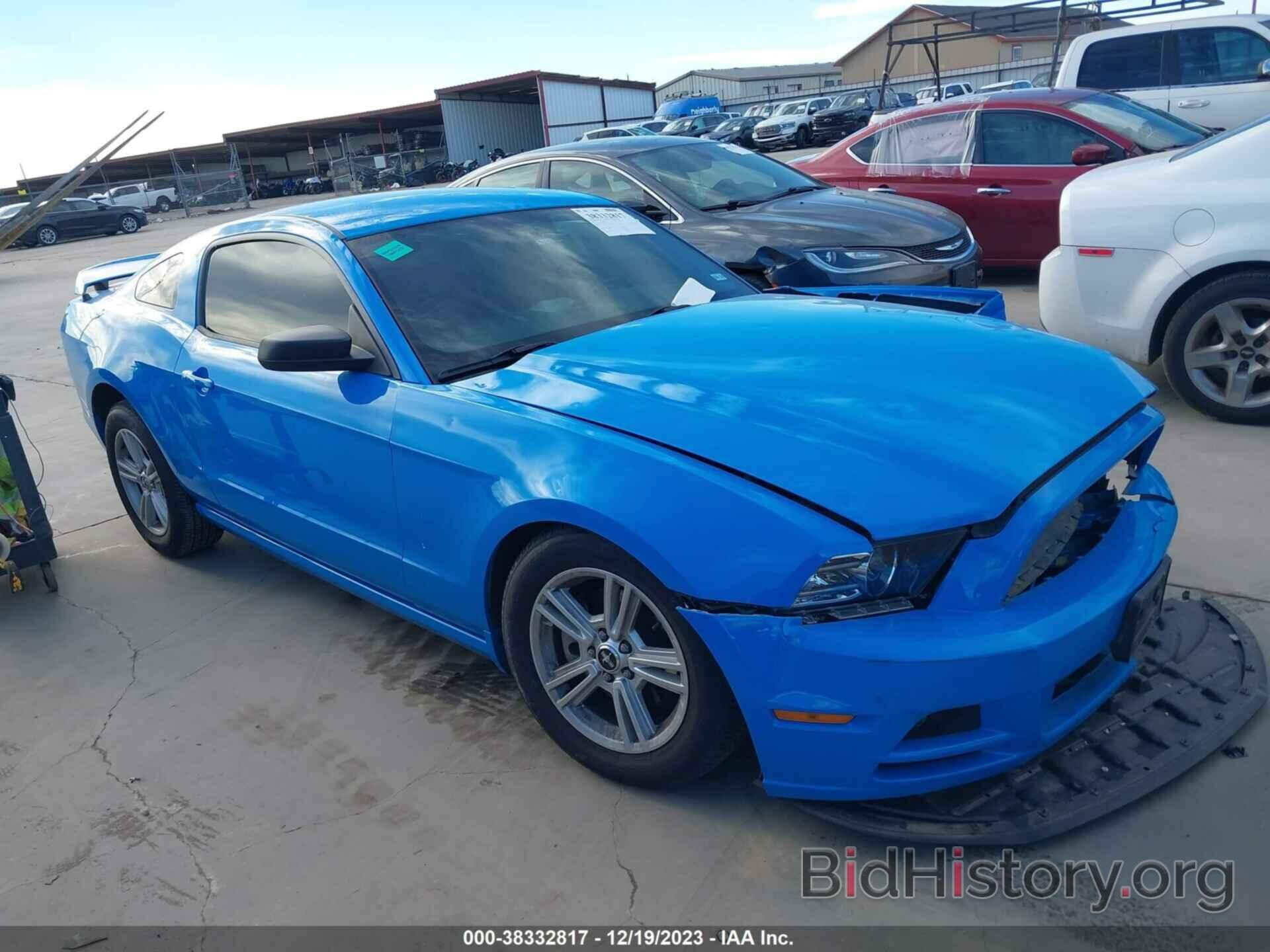 Photo 1ZVBP8AM1E5254330 - FORD MUSTANG 2014