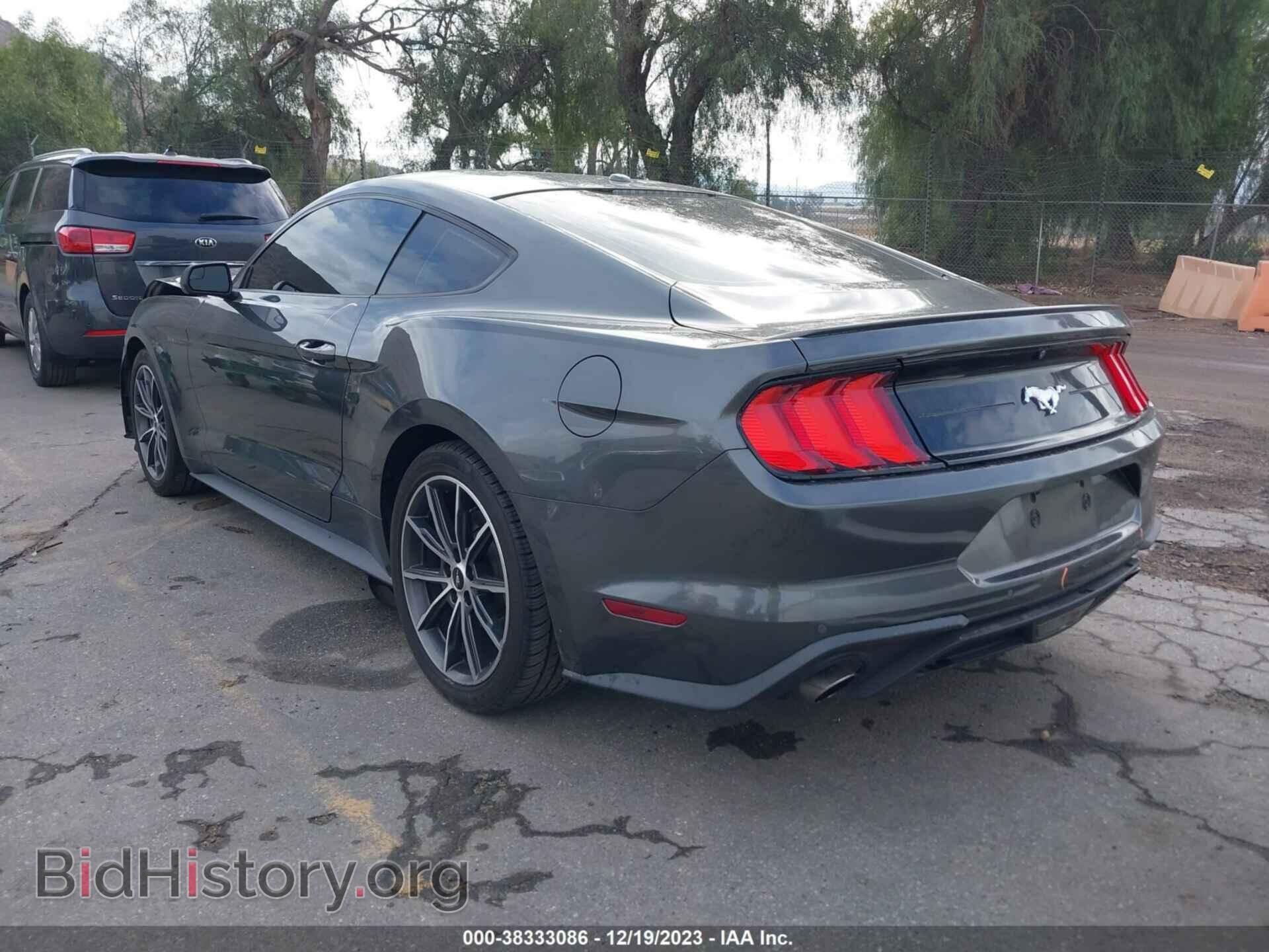 2019 FORD MUSTANG - VIN: 1FA6P8TH1K5175519 - Фото 3