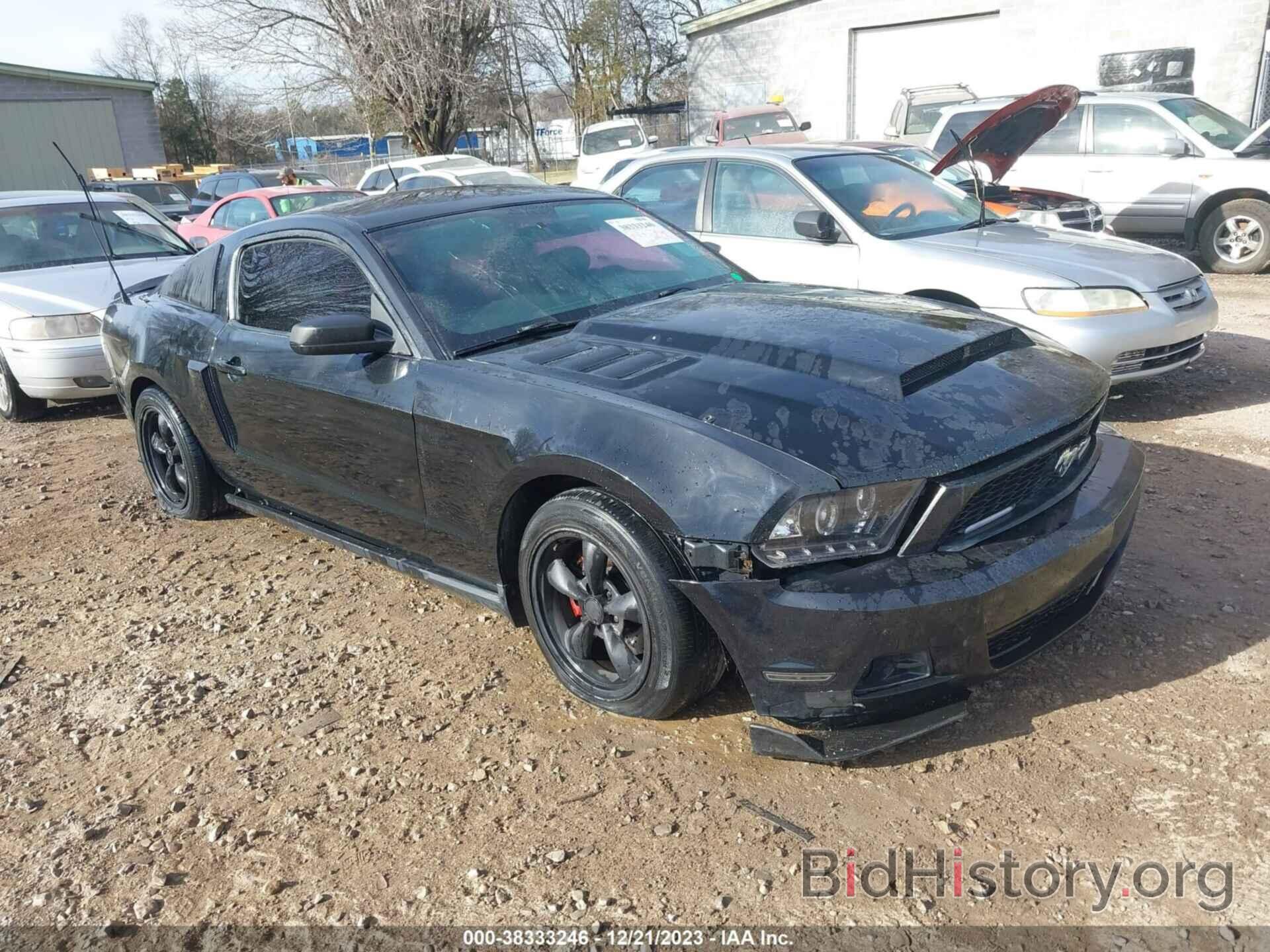 Photo 1ZVBP8AM4C5200470 - FORD MUSTANG 2012