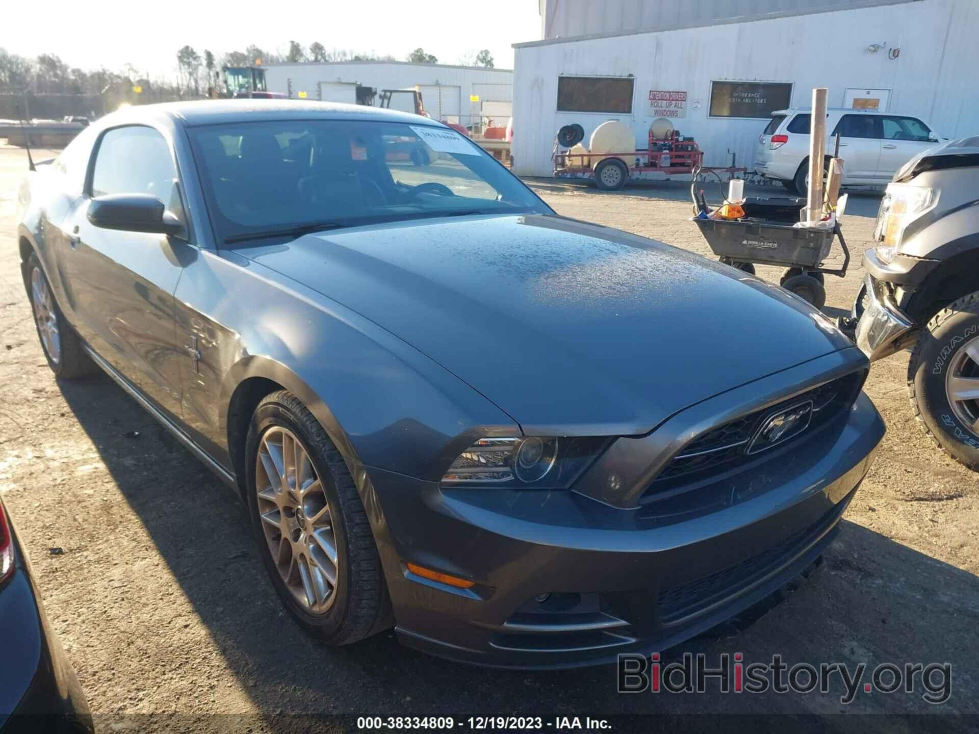 Photo 1ZVBP8AM1E5286484 - FORD MUSTANG 2014