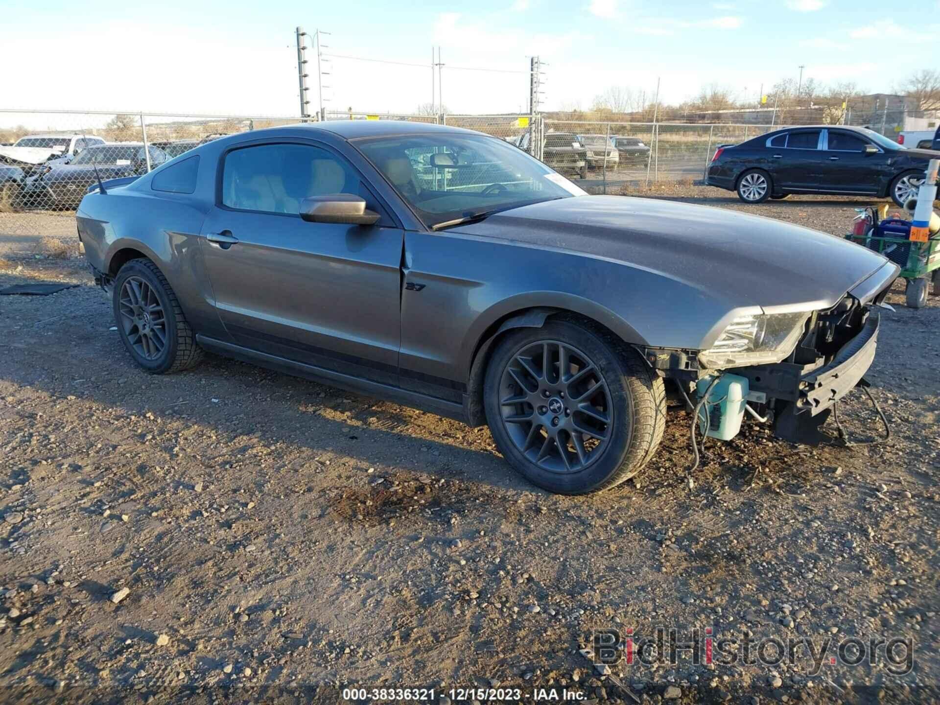 Photo 1ZVBP8AM8D5219945 - FORD MUSTANG 2013