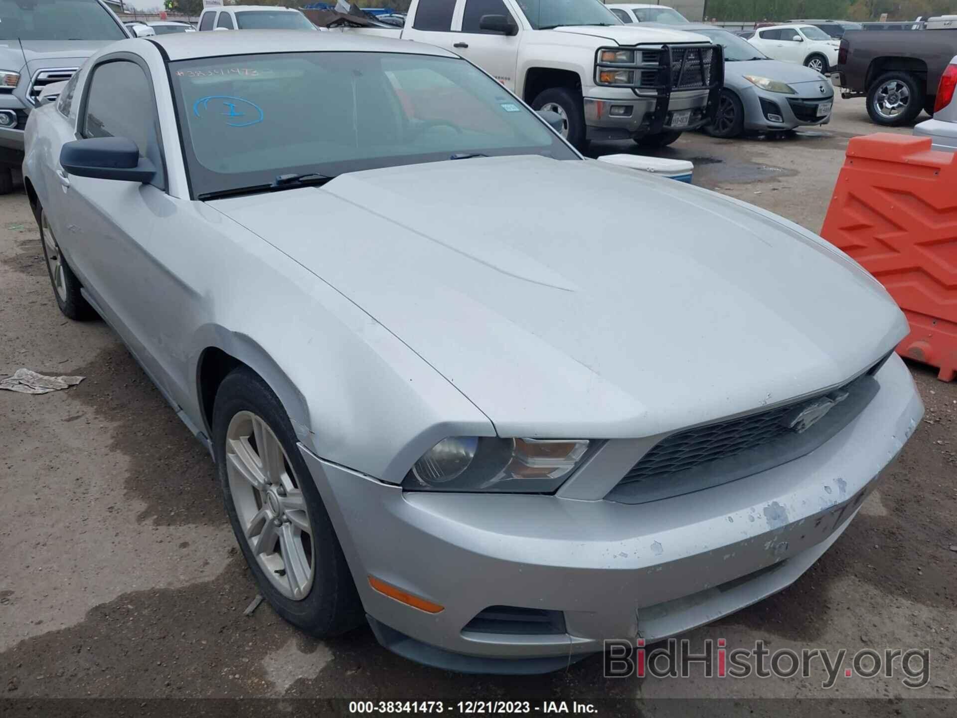 Photo 1ZVBP8AN9A5112004 - FORD MUSTANG 2010
