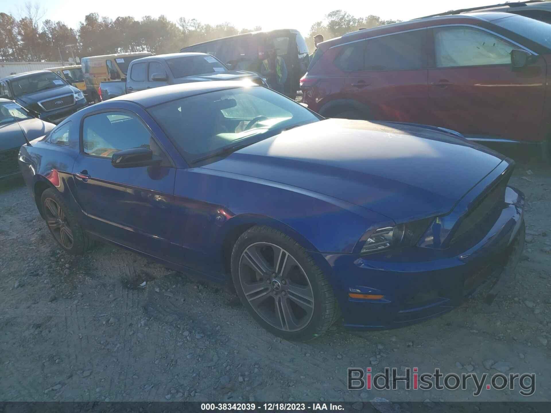 Photo 1ZVBP8AM7E5319861 - FORD MUSTANG 2014