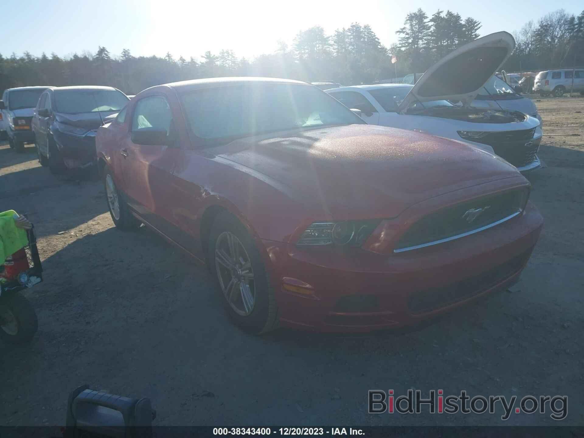 Photo 1ZVBP8AM5D5263000 - FORD MUSTANG 2013