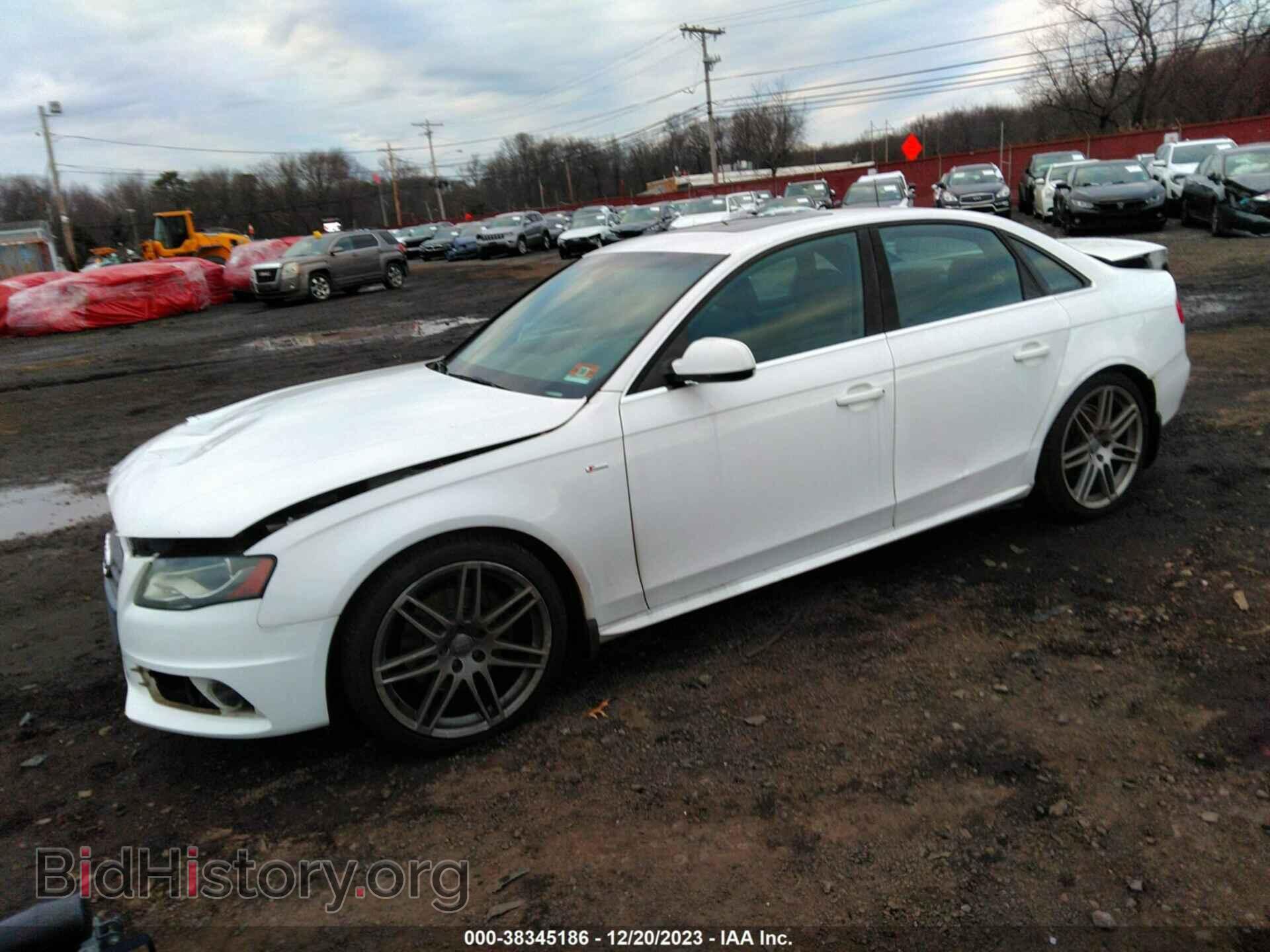 2010 AUDI A4 - VIN: WAUKFAFL2AN006804 - Фото 2