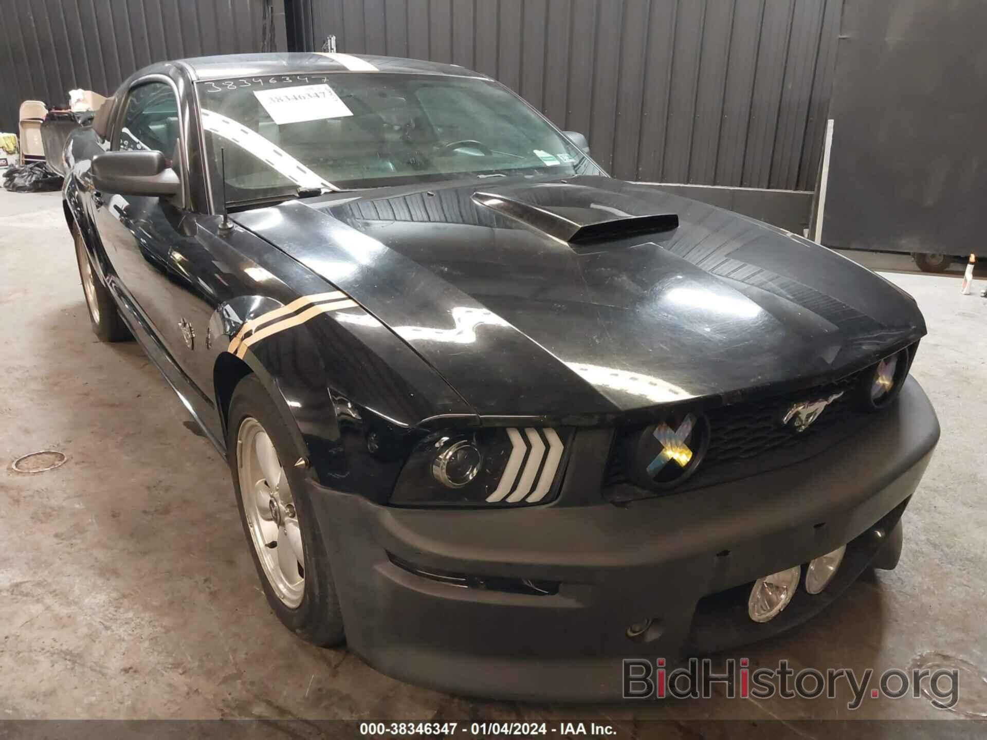 Photo 1ZVHT82H795101545 - FORD MUSTANG 2009