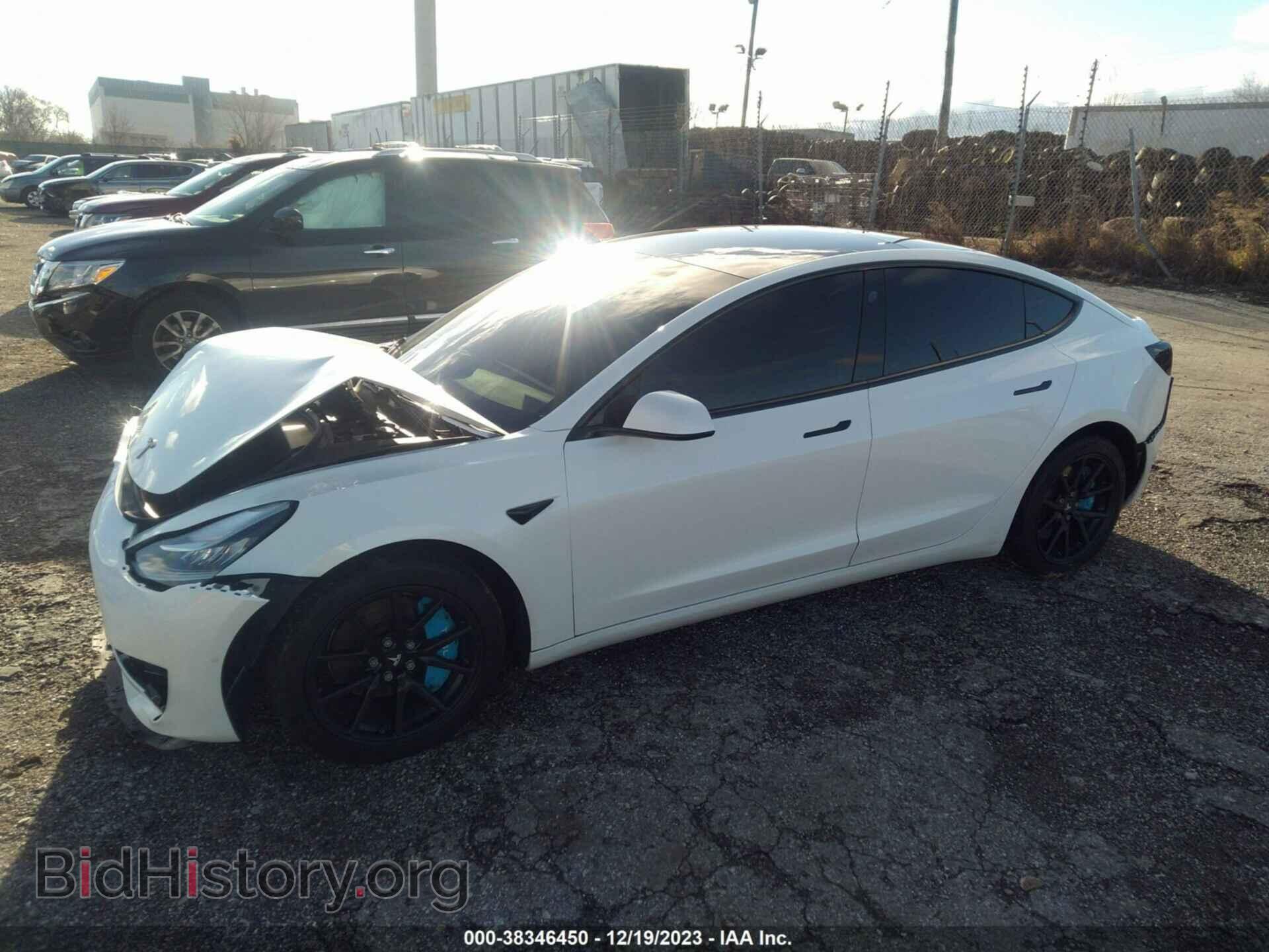 2019 TESLA MODEL 3 - VIN: 5YJ3E1EB9KF494006 - Фото 2