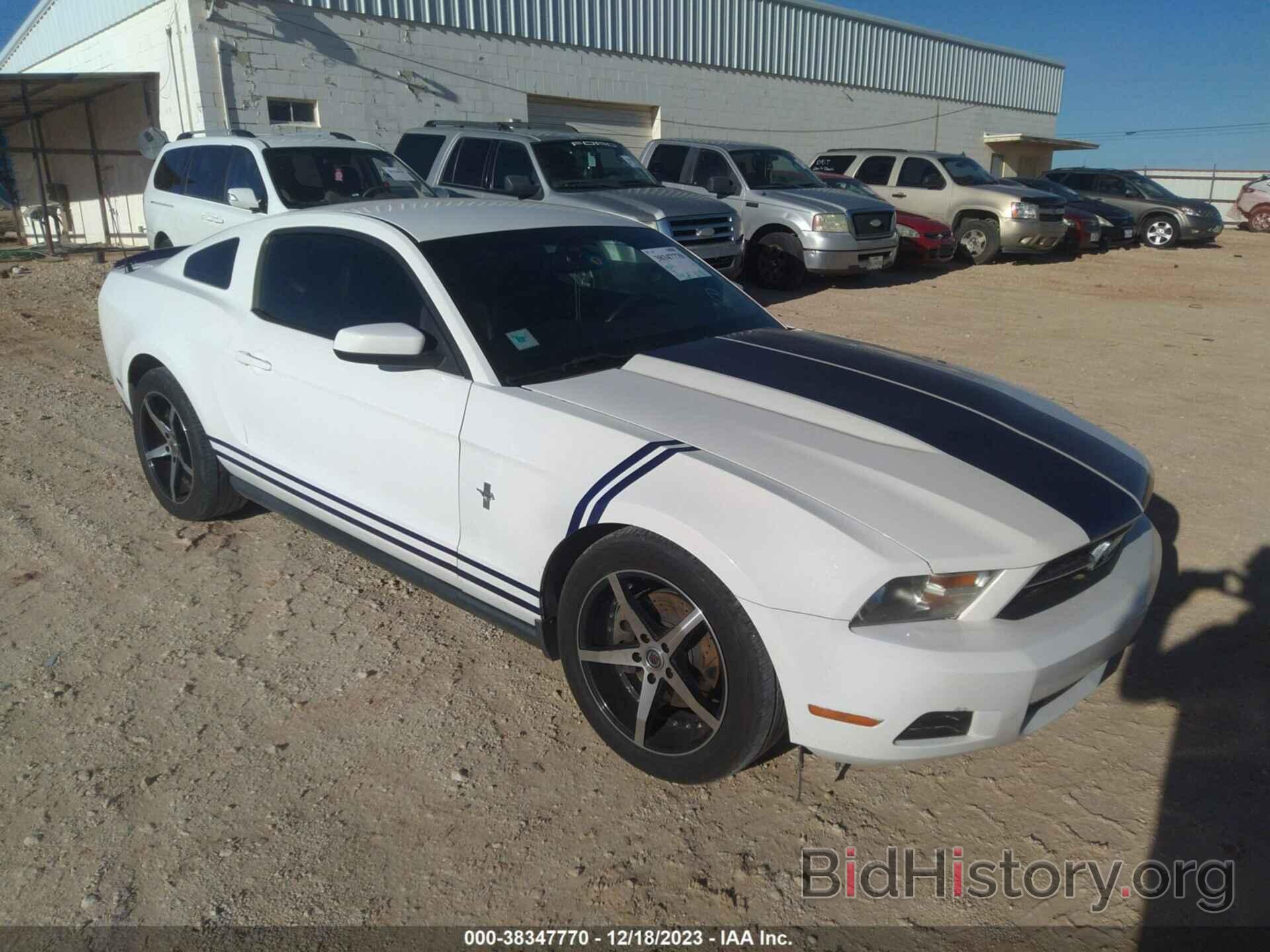Photo 1ZVBP8AM3C5224503 - FORD MUSTANG 2012