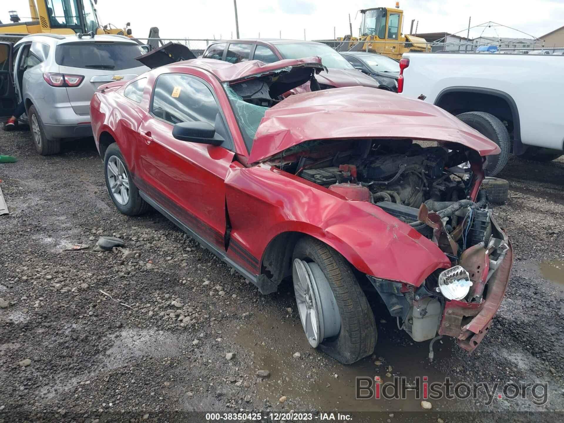 Photo 1ZVBP8AM0C5247365 - FORD MUSTANG 2012