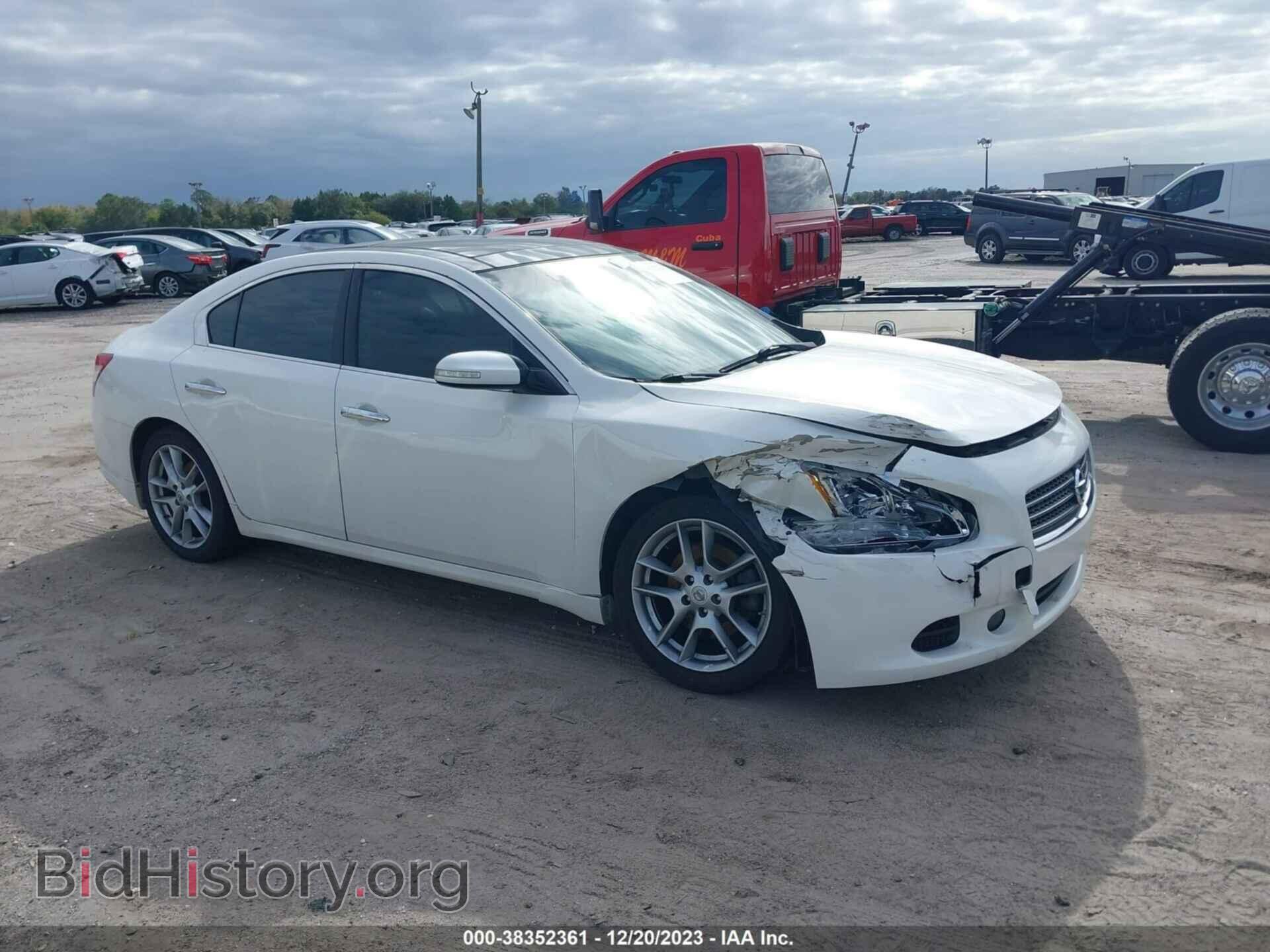 Фотография 1N4AA5AP1BC844548 - NISSAN MAXIMA 2011
