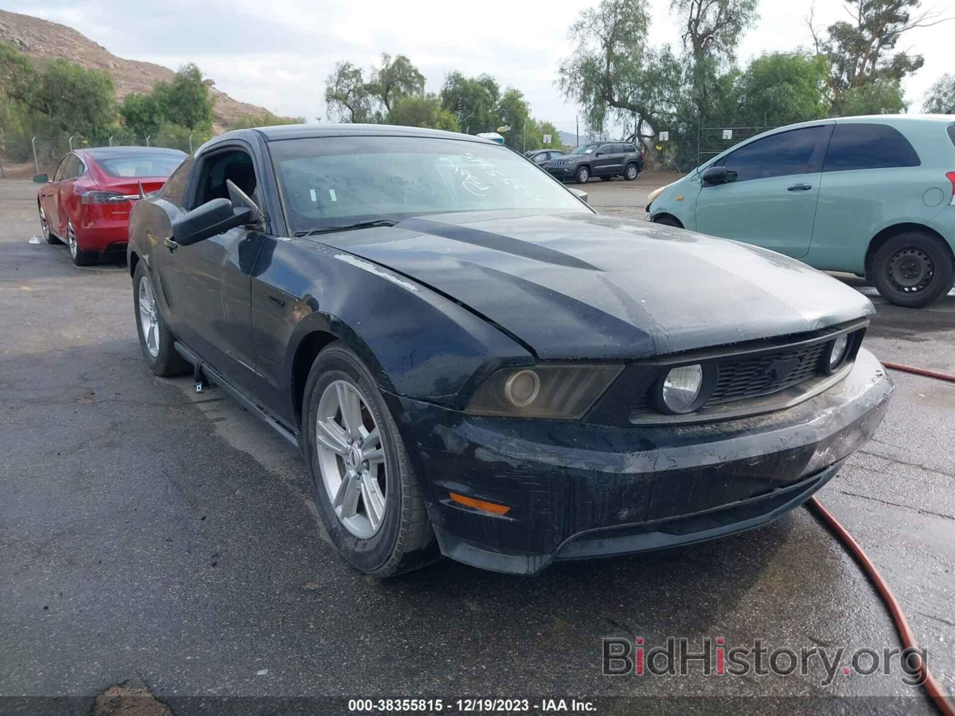 Photo 1ZVBP8AM3C5236974 - FORD MUSTANG 2012