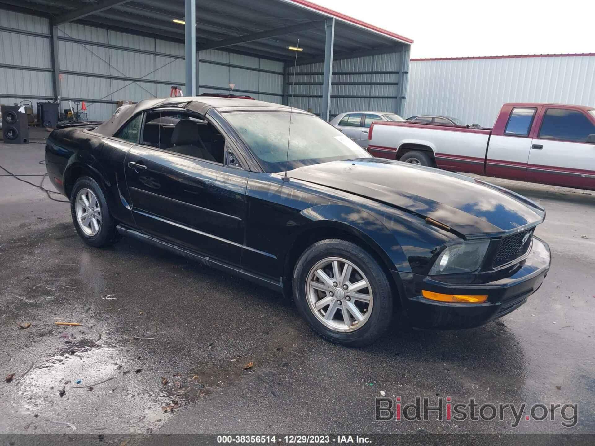 Photo 1ZVHT84N485158349 - FORD MUSTANG 2008
