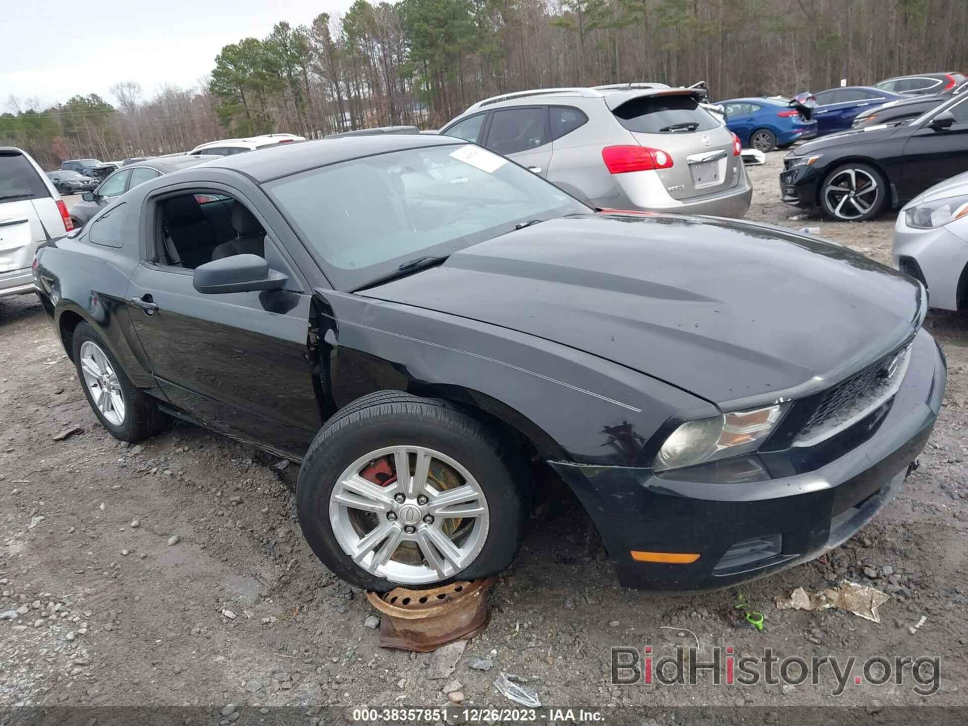 Photo 1ZVBP8AM0C5240075 - FORD MUSTANG 2012