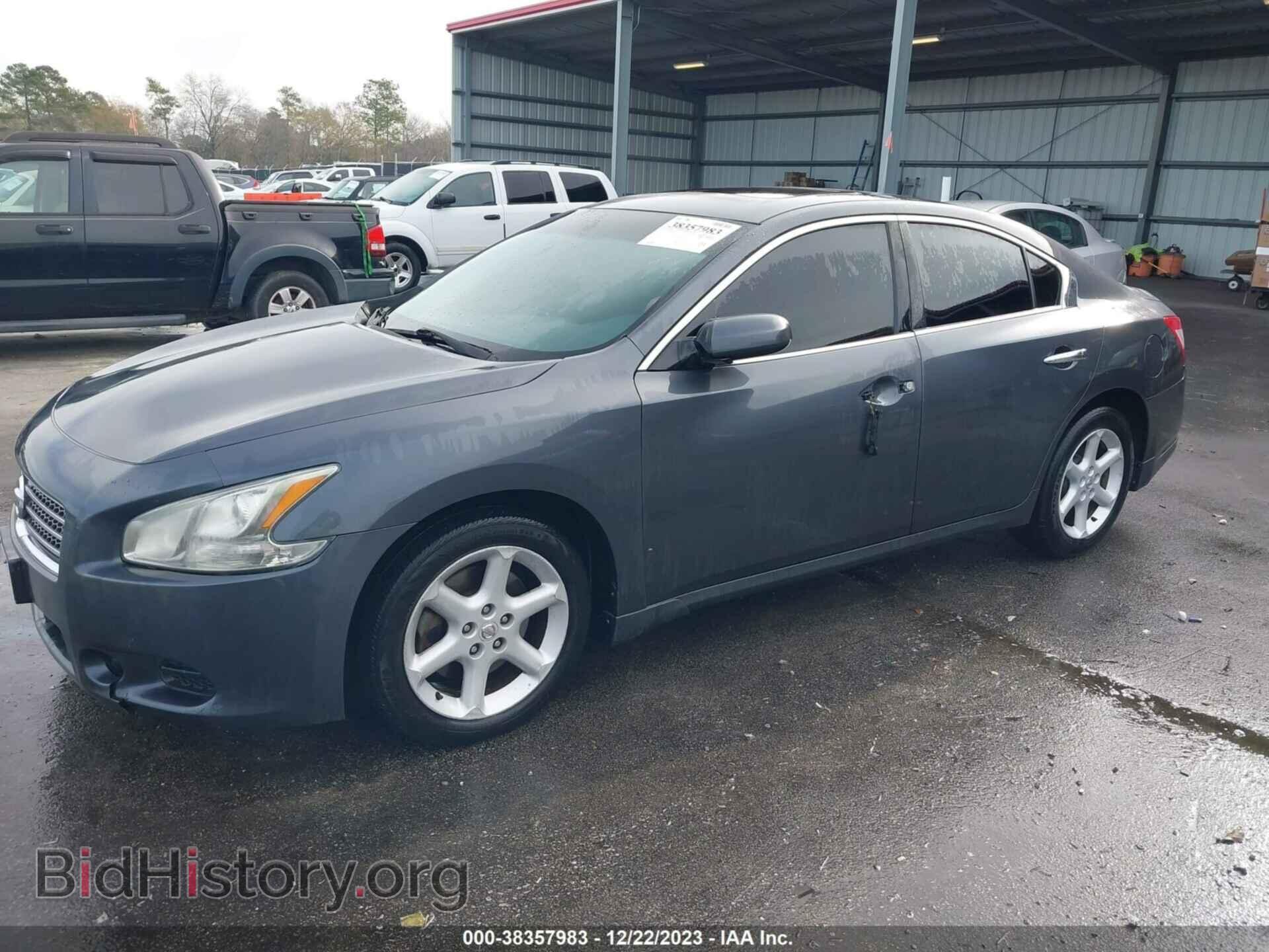2009 NISSAN MAXIMA - VIN: 1N4AA51EX9C823612 - Фото 2