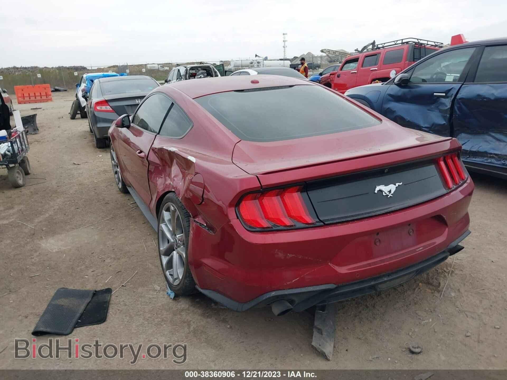 2019 FORD MUSTANG - VIN: 1FA6P8THXK5130434 - Фото 3