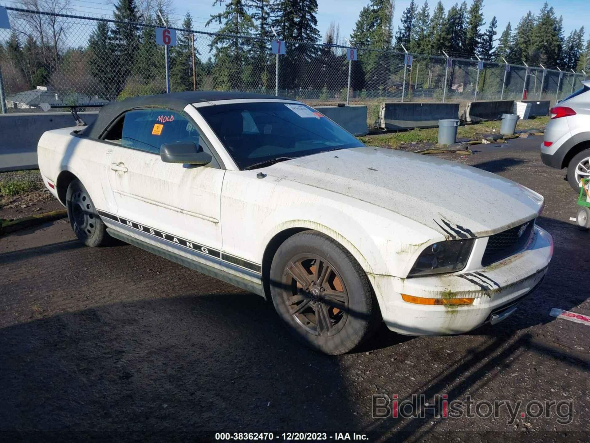 Photo 1ZVFT84N065200665 - FORD MUSTANG 2006