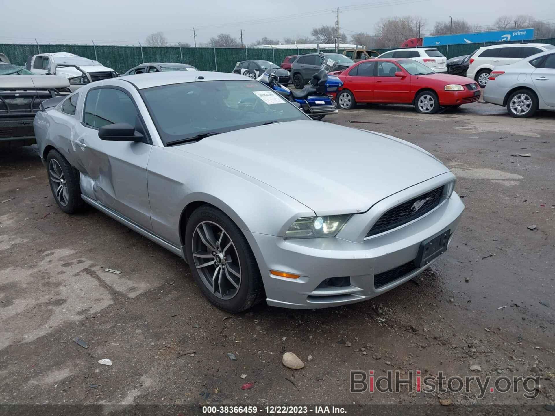 Photo 1ZVBP8AM0E5309558 - FORD MUSTANG 2014