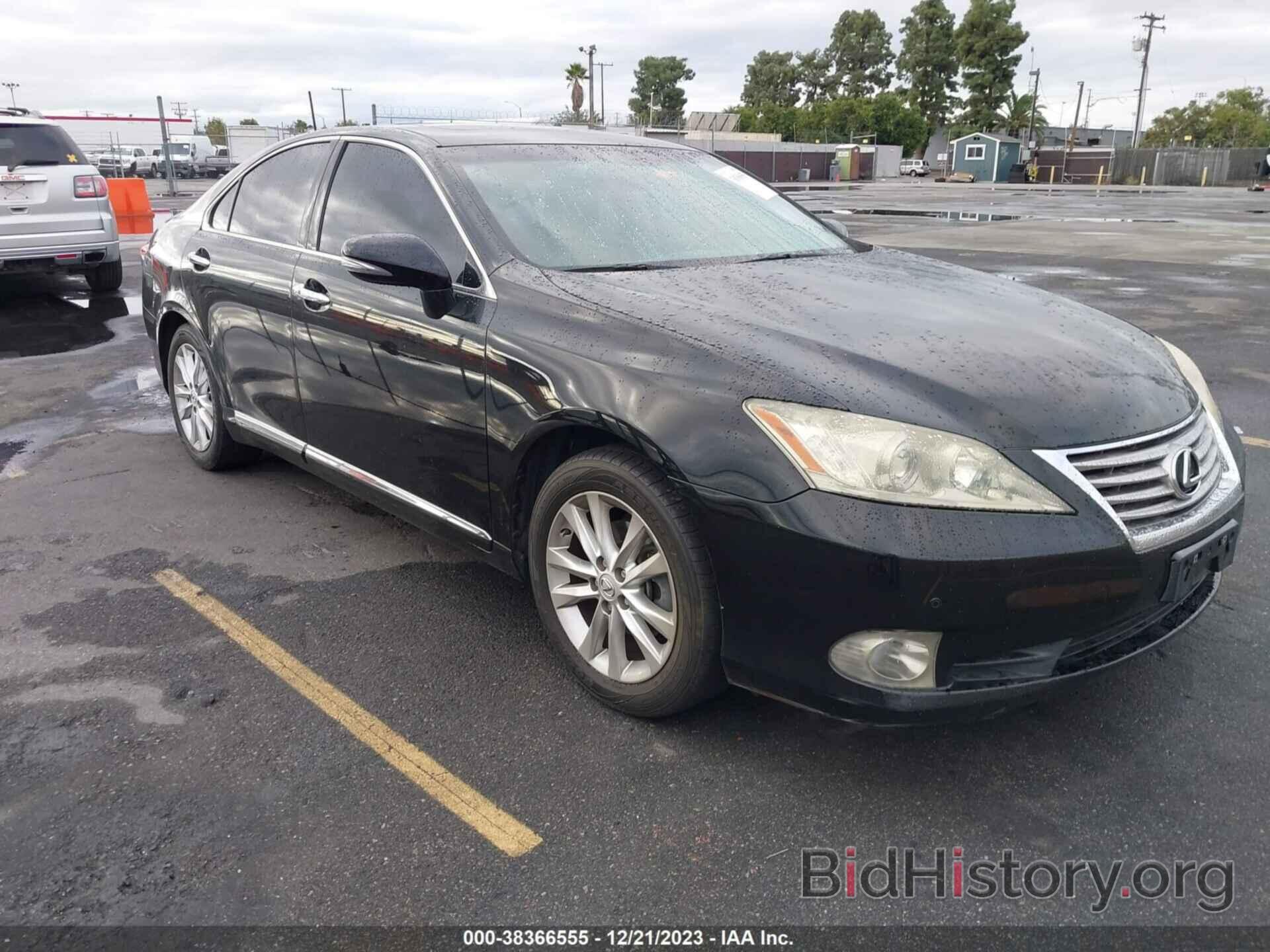 Фотография JTHBK1EG7A2346033 - LEXUS ES 350 2010