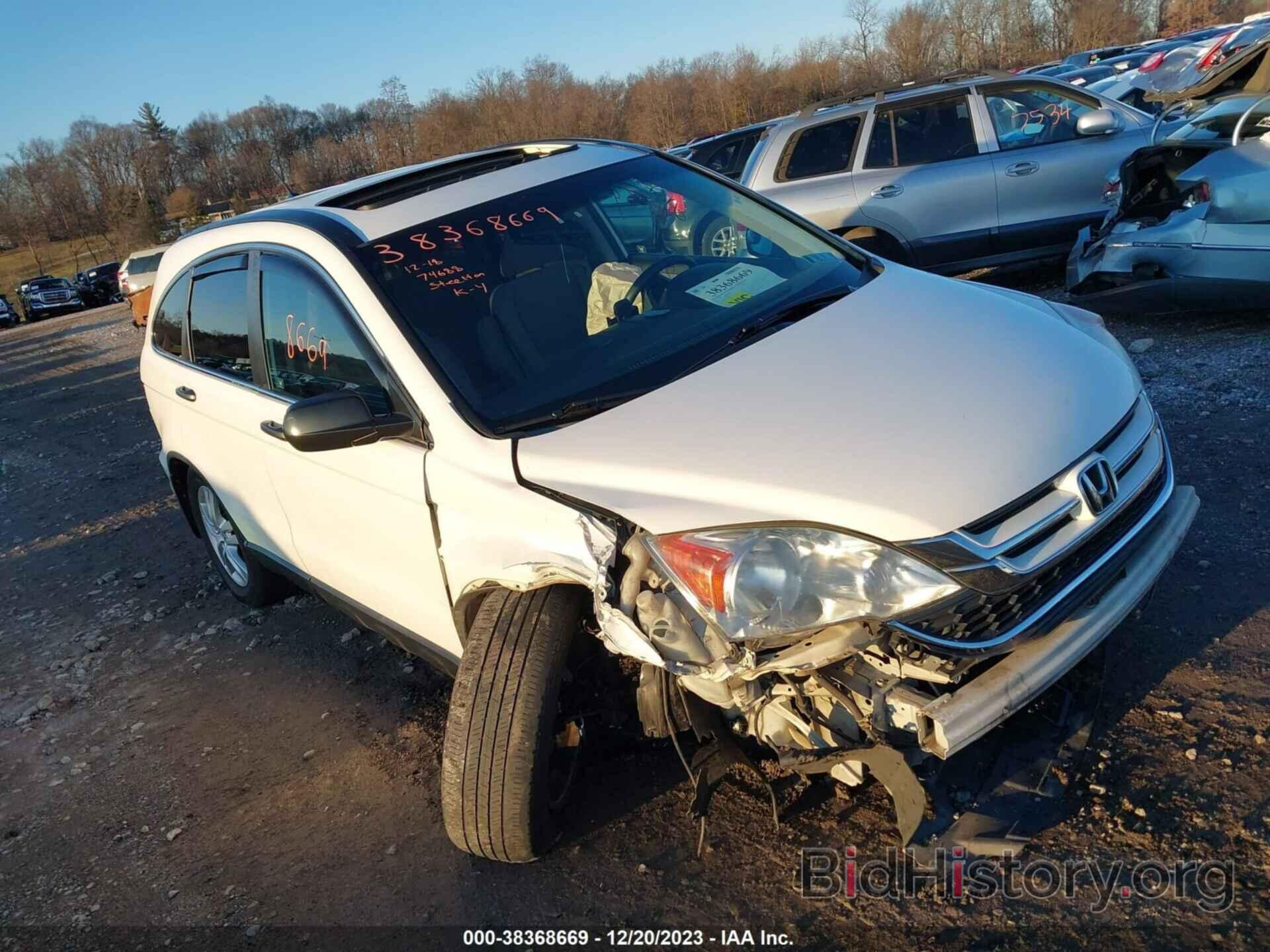 Photo 5J6RE4H52BL029561 - HONDA CR-V 2011