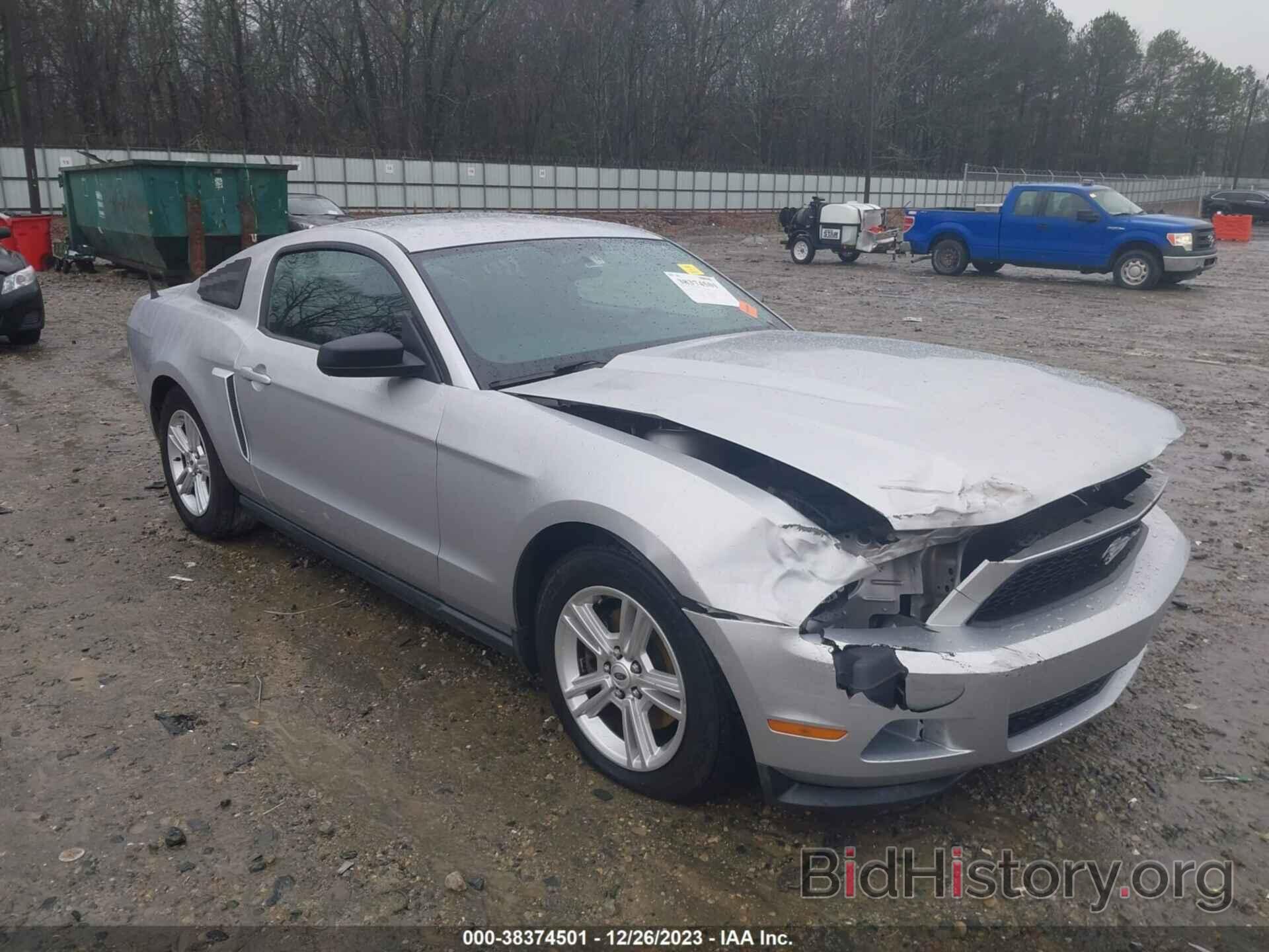 Photo 1ZVBP8AM8C5239255 - FORD MUSTANG 2012