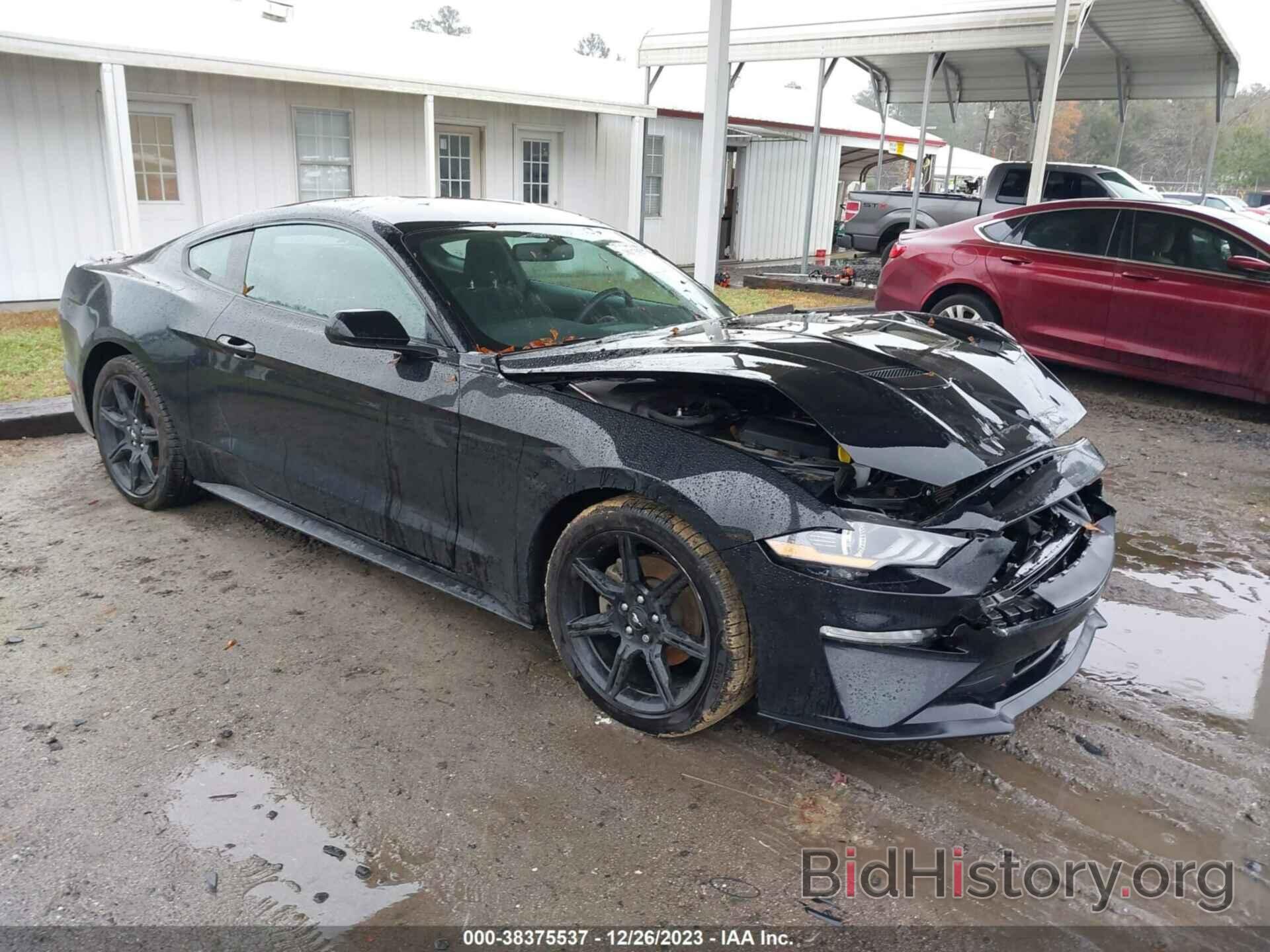 Photo 1FA6P8TH5K5105442 - FORD MUSTANG 2019