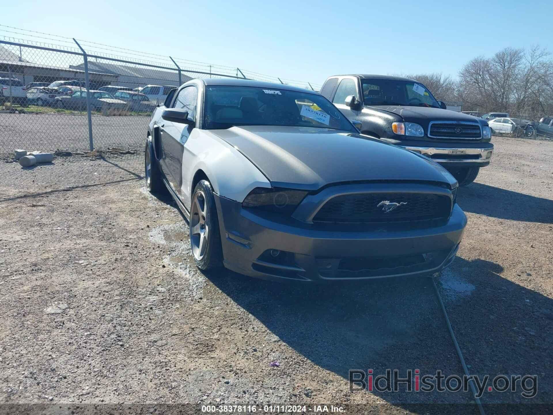 Photo 1ZVBP8AM9E5239087 - FORD MUSTANG 2014