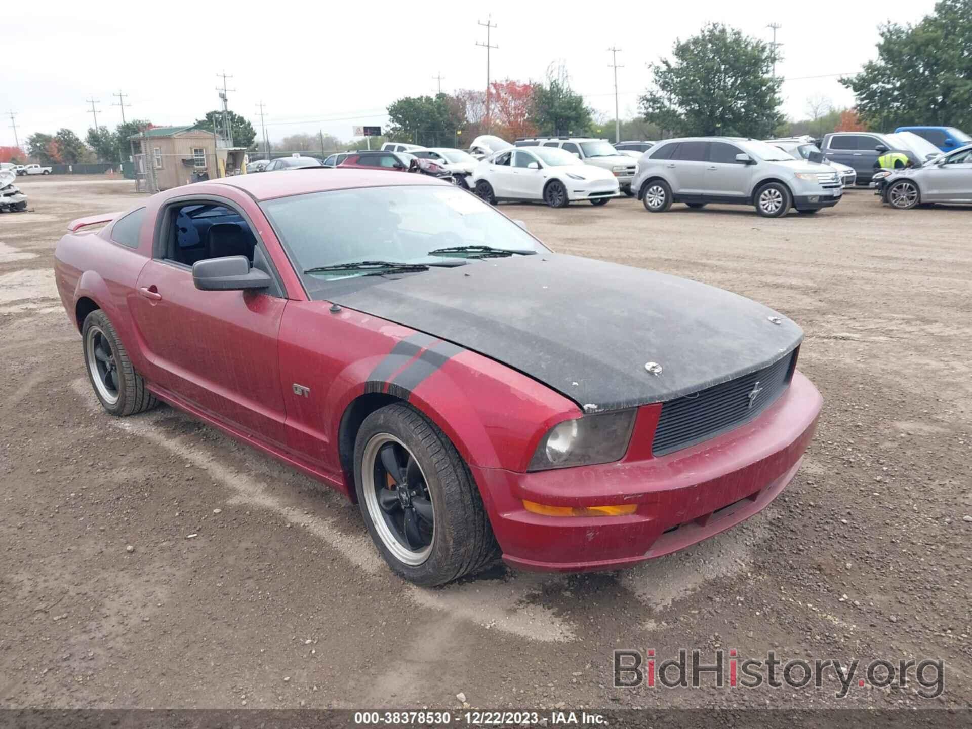 Photo 1ZVFT82H565195248 - FORD MUSTANG 2006