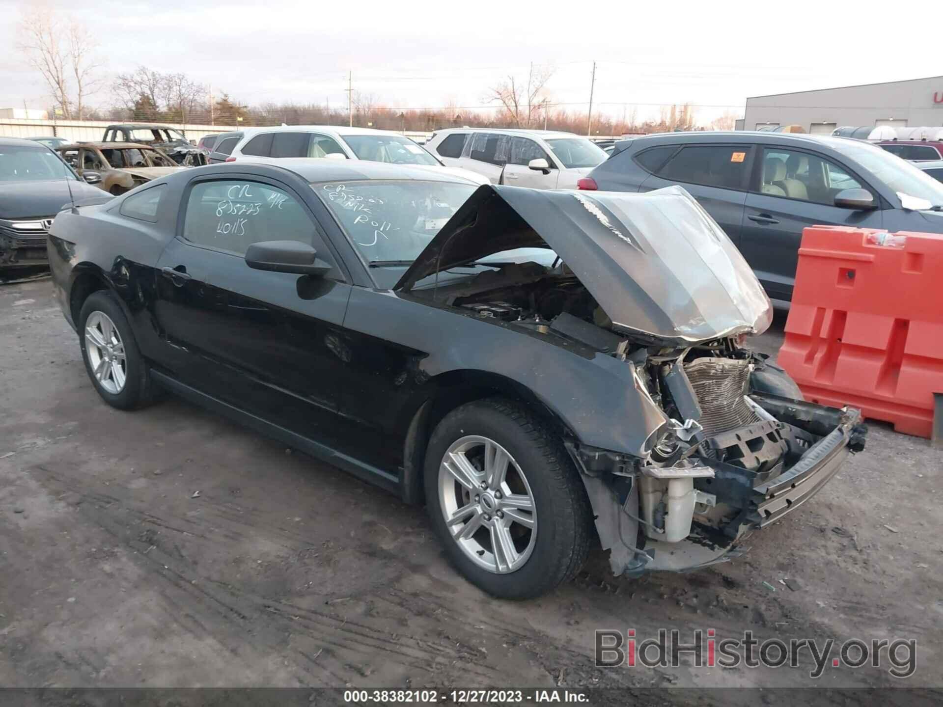 Photo 1ZVBP8AN0A5148857 - FORD MUSTANG 2010