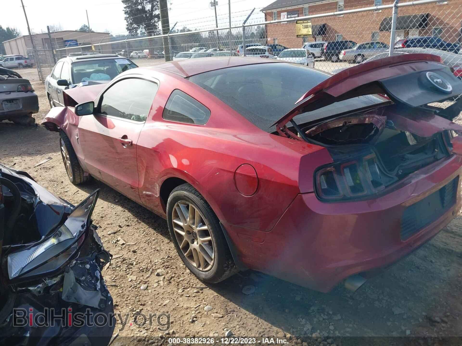 2014 FORD MUSTANG - VIN: 1ZVBP8AM8E5230834 - Фото 3