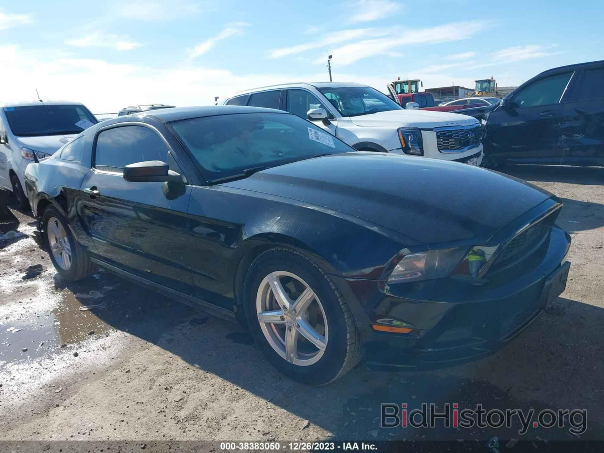 Photo 1ZVBP8AM2E5238444 - FORD MUSTANG 2014