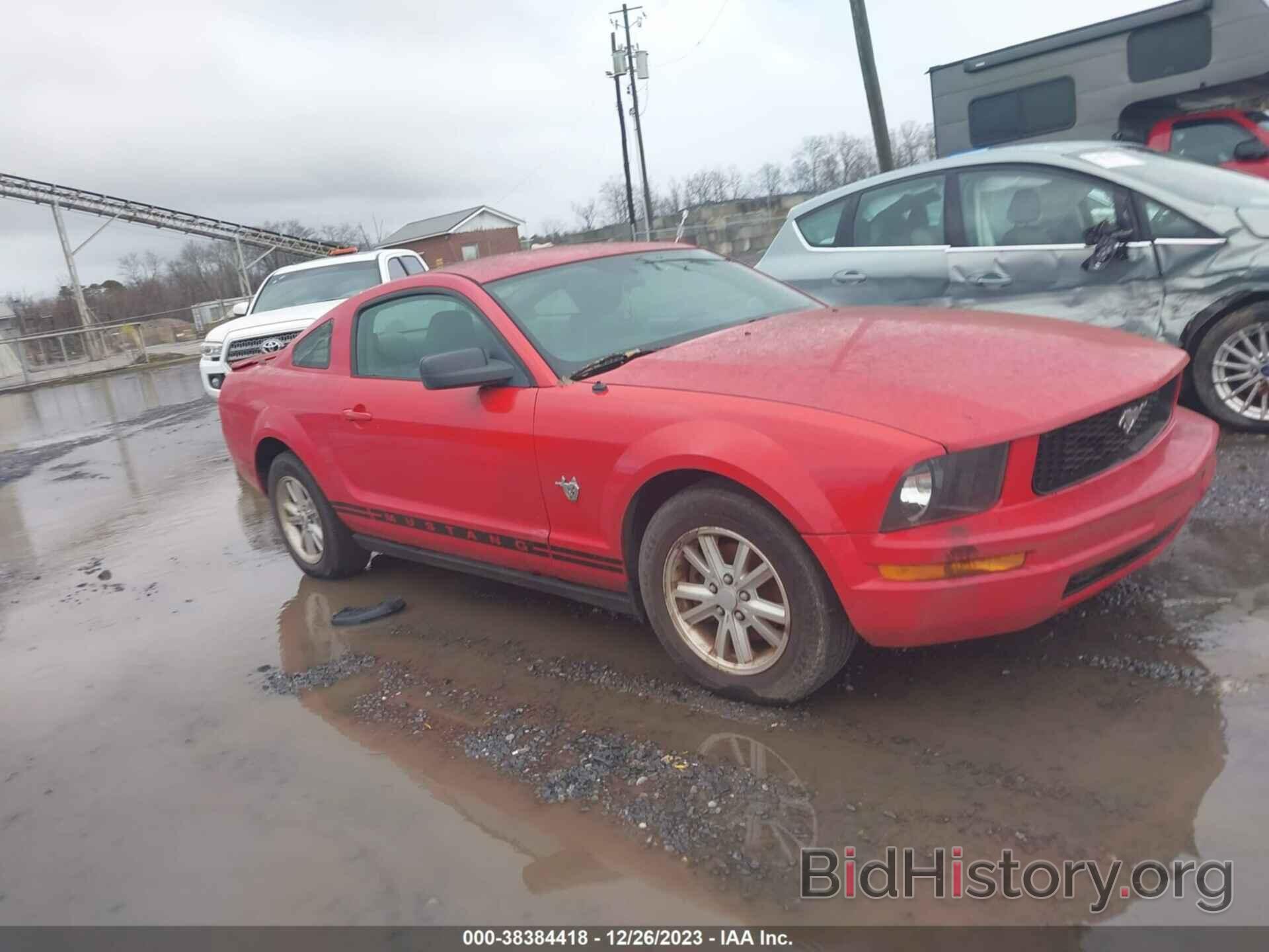 Photo 1ZVHT80N595125318 - FORD MUSTANG 2009