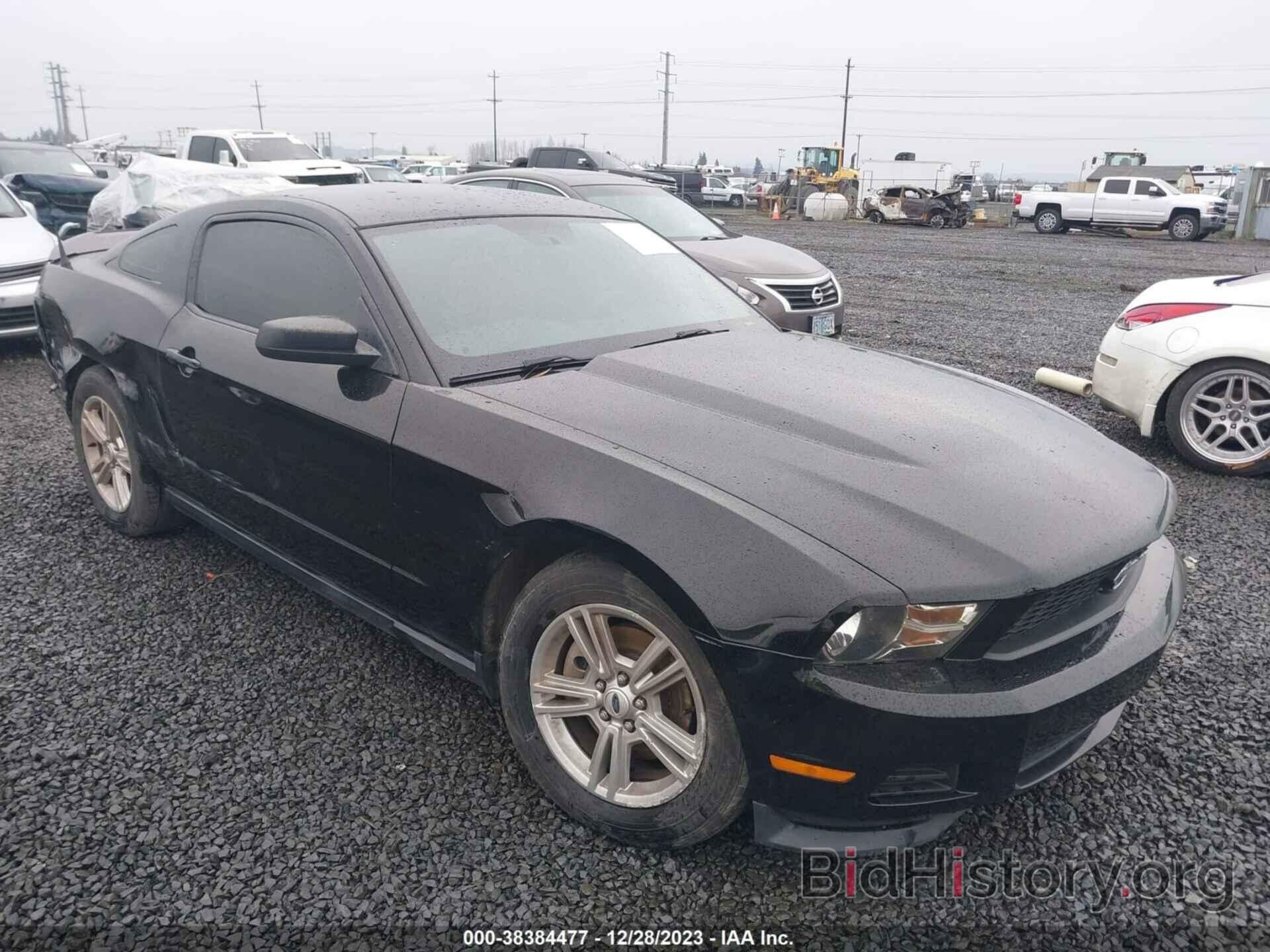 Photo 1ZVBP8AM1C5262229 - FORD MUSTANG 2012