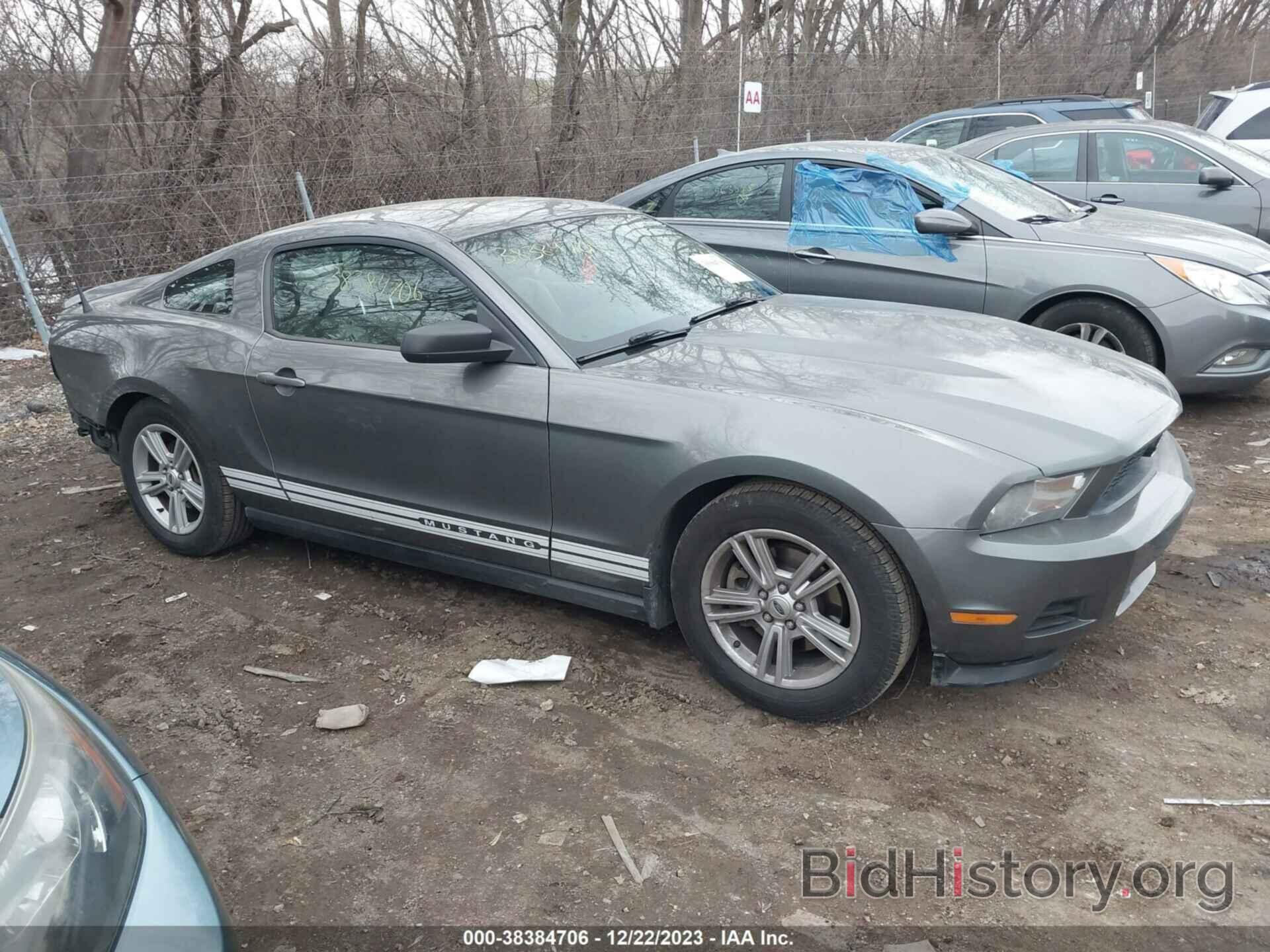 Photo 1ZVBP8AM5C5277655 - FORD MUSTANG 2012