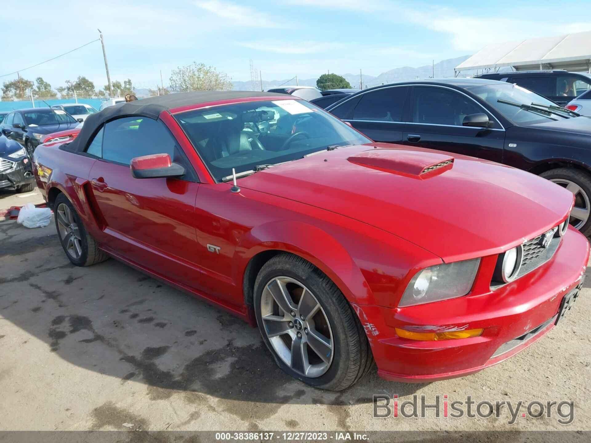 Photo 1ZVHT85H385156794 - FORD MUSTANG 2008