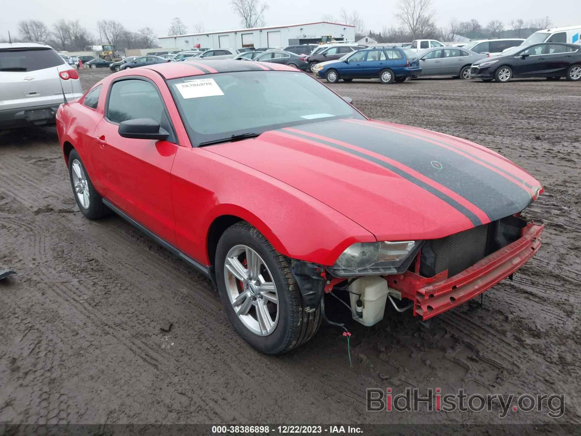 Photo 1ZVBP8AN2A5112636 - FORD MUSTANG 2010