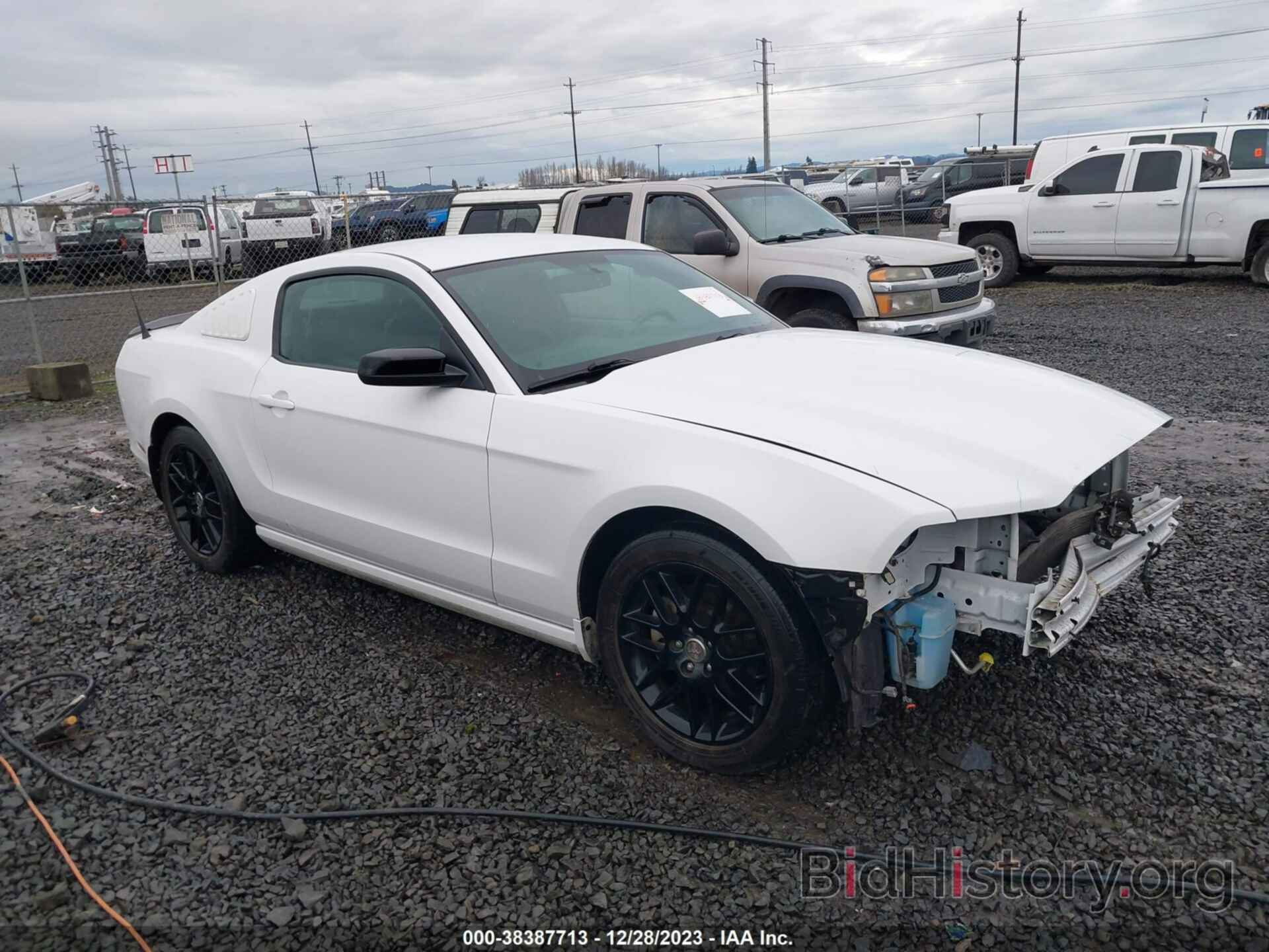Photo 1ZVBP8AM2E5328256 - FORD MUSTANG 2014
