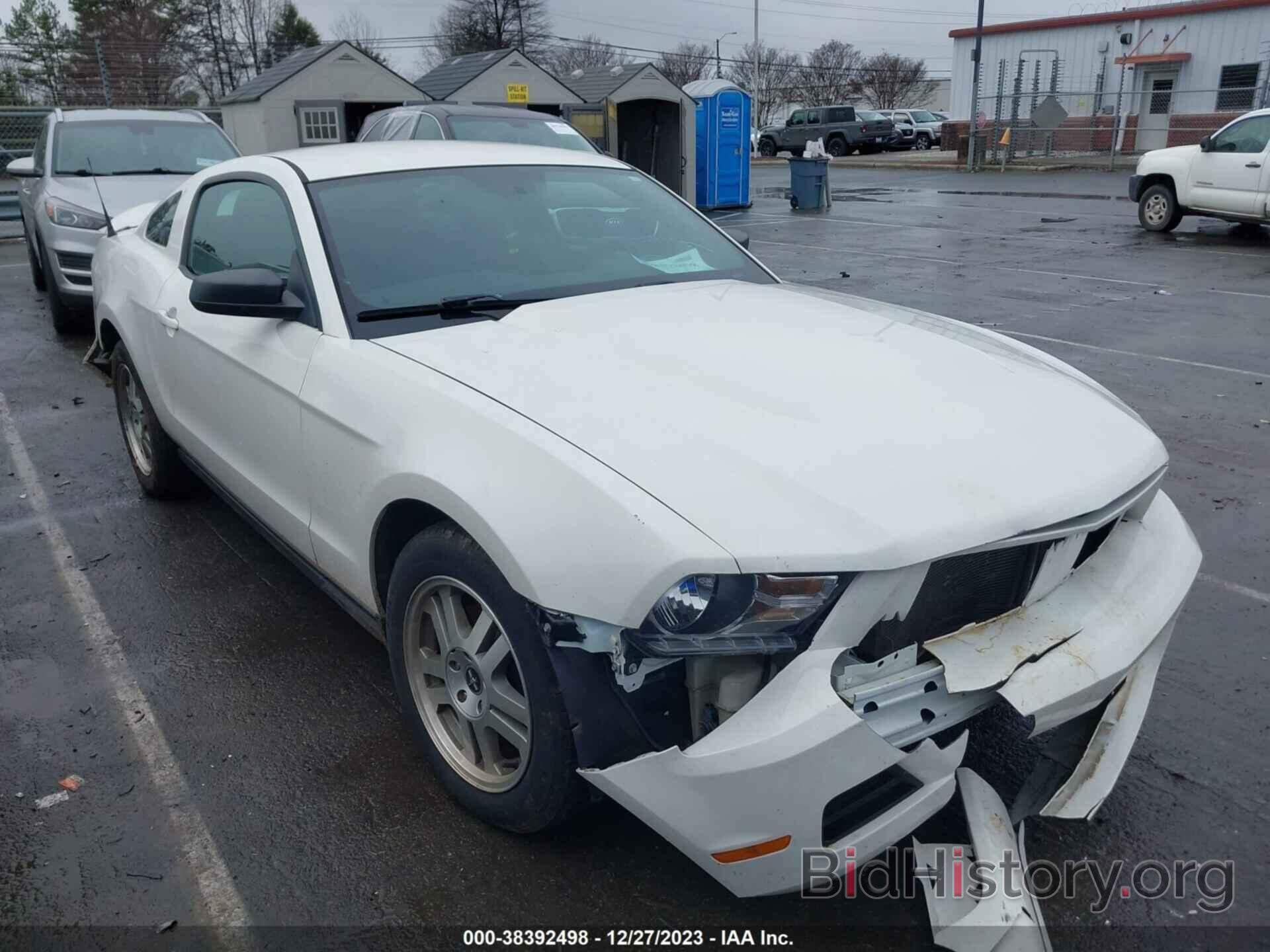 Photo 1ZVBP8AMXC5262777 - FORD MUSTANG 2012