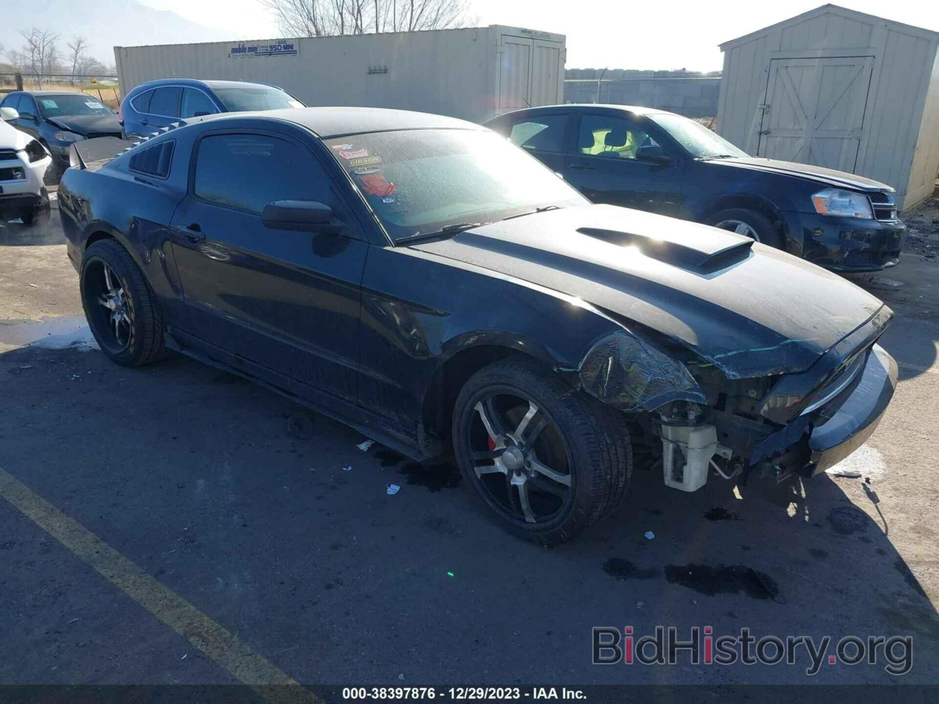 Photo 1ZVBP8AM2E5265773 - FORD MUSTANG 2014