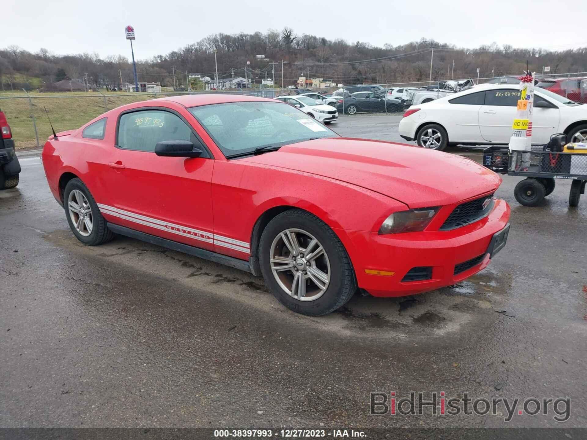 Photo 1ZVBP8AM7B5138500 - FORD MUSTANG 2011